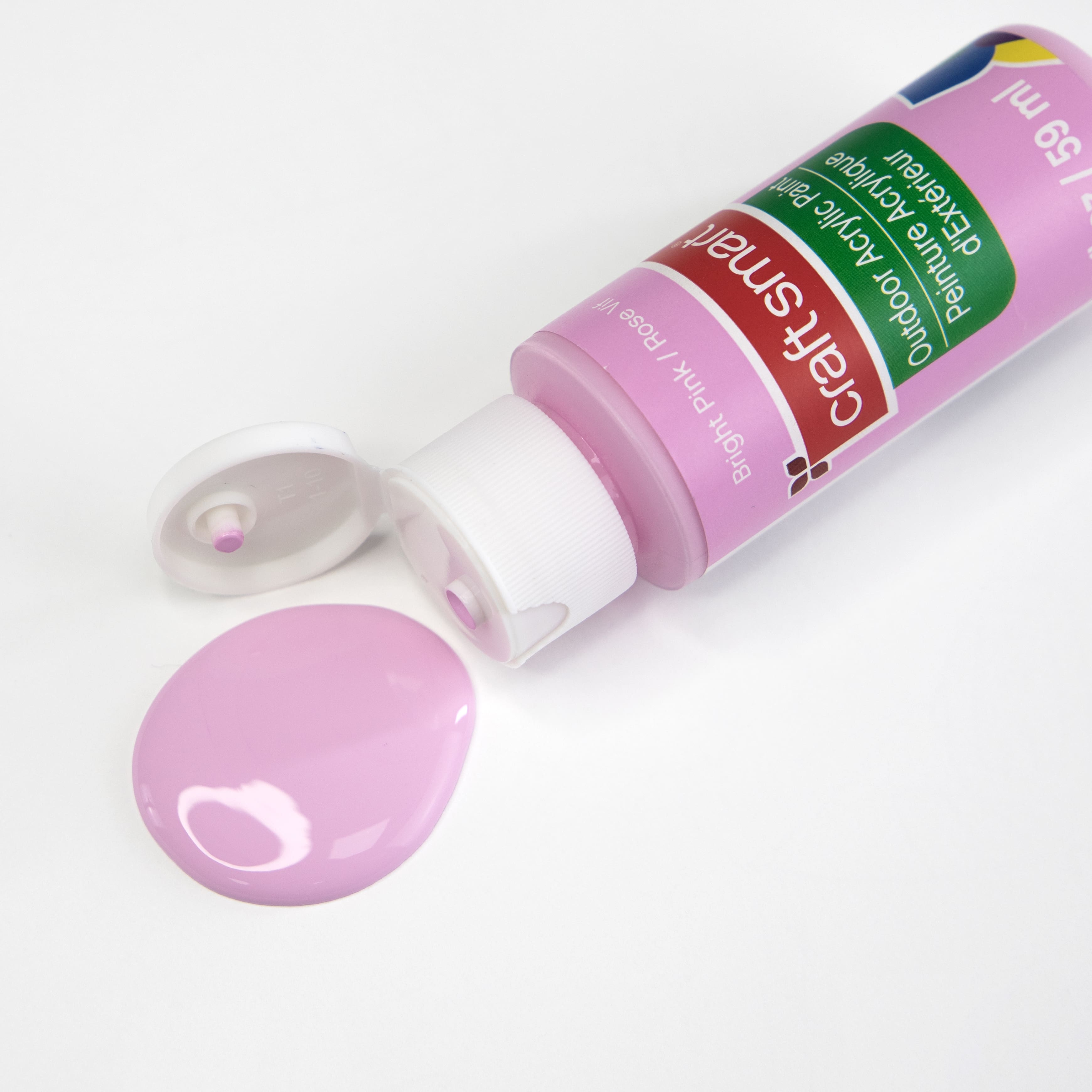 12 Pack: 2oz. Bright Outdoor Acrylic Paint by Craft Smart®