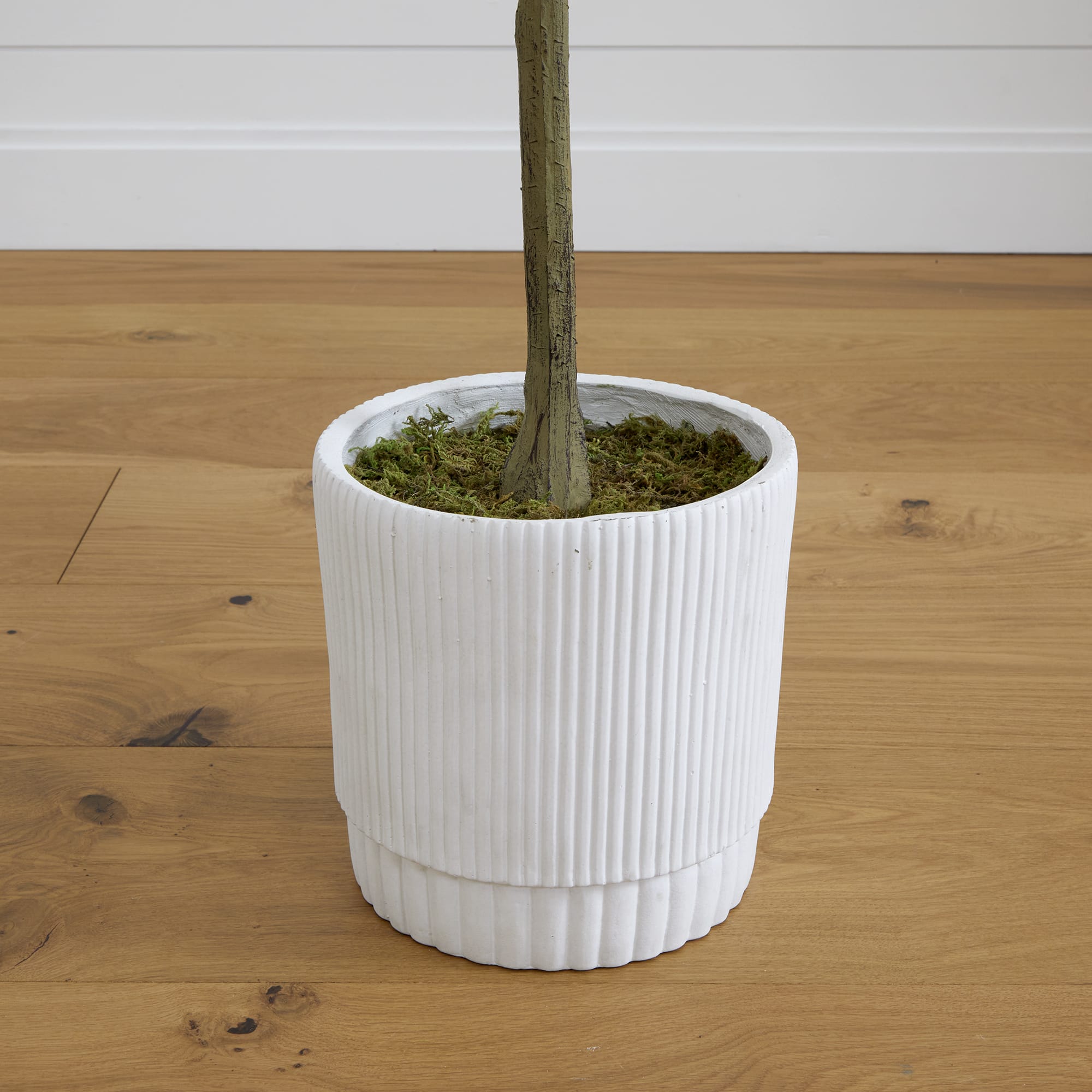 6ft. Artificial Eucalyptus Tree with White Decorative Planter