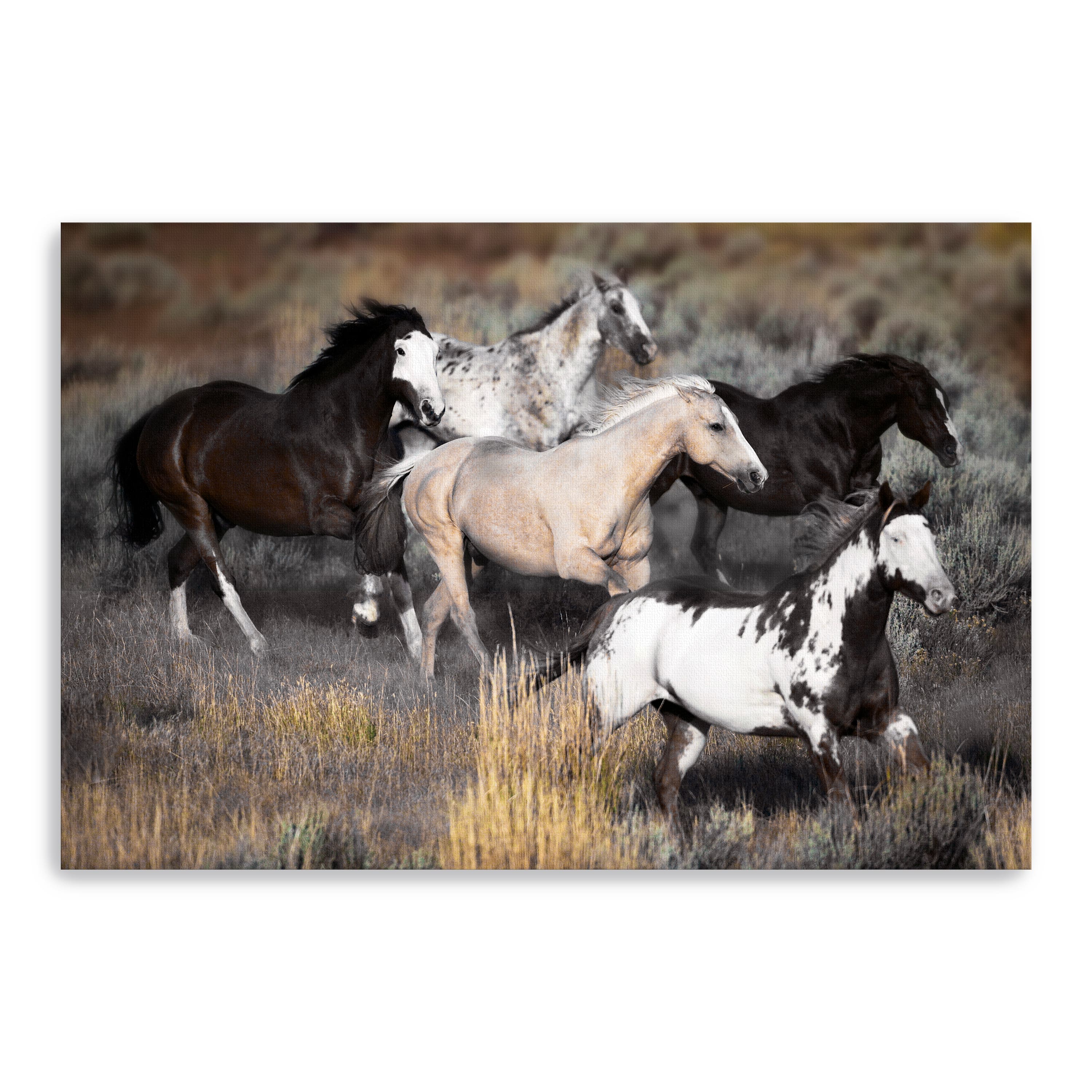 High Prairie Run Canvas Giclee