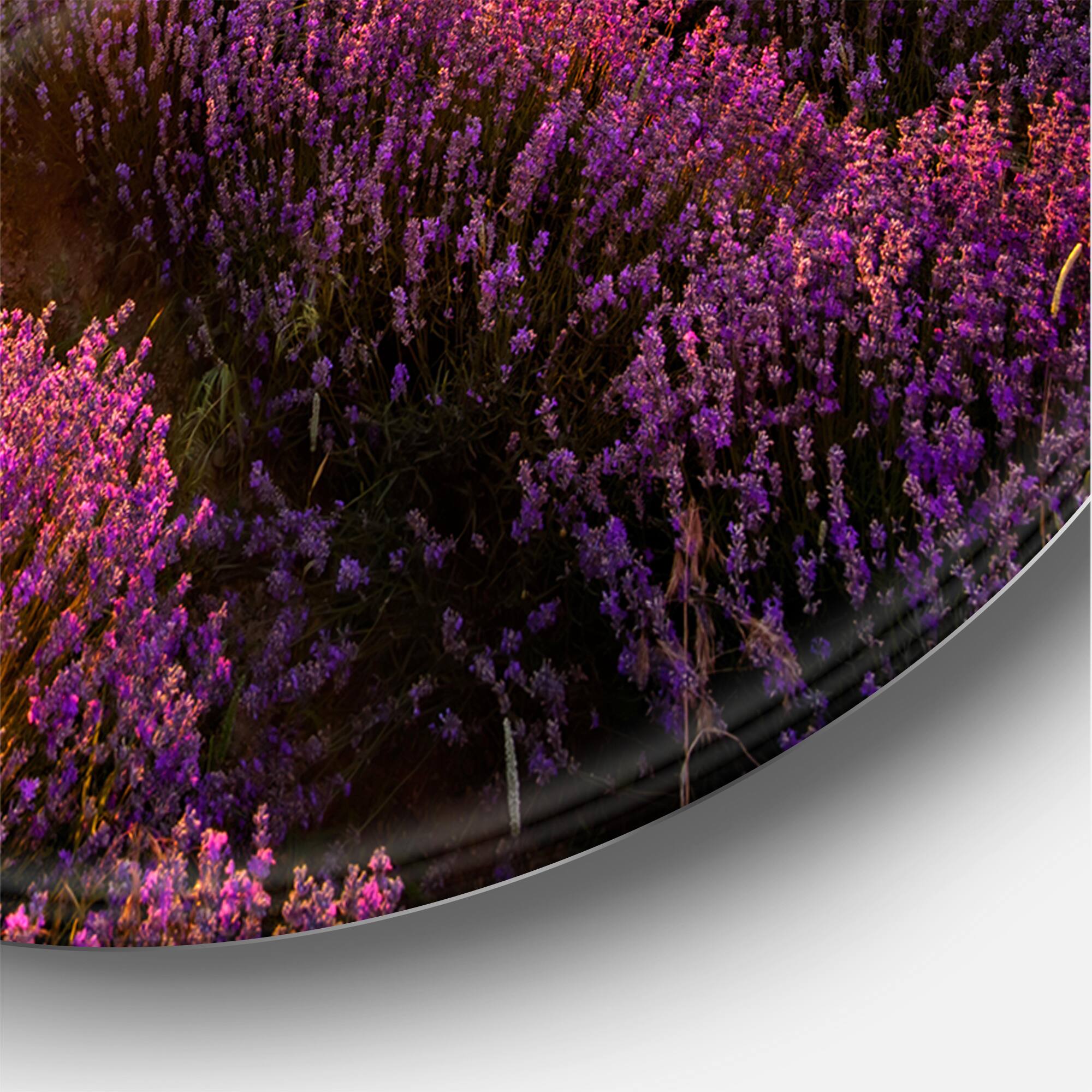 Designart - Sunrise & Dramatic Clouds Over Lavender Field IV - Farmhouse Metal Circle Wall Art