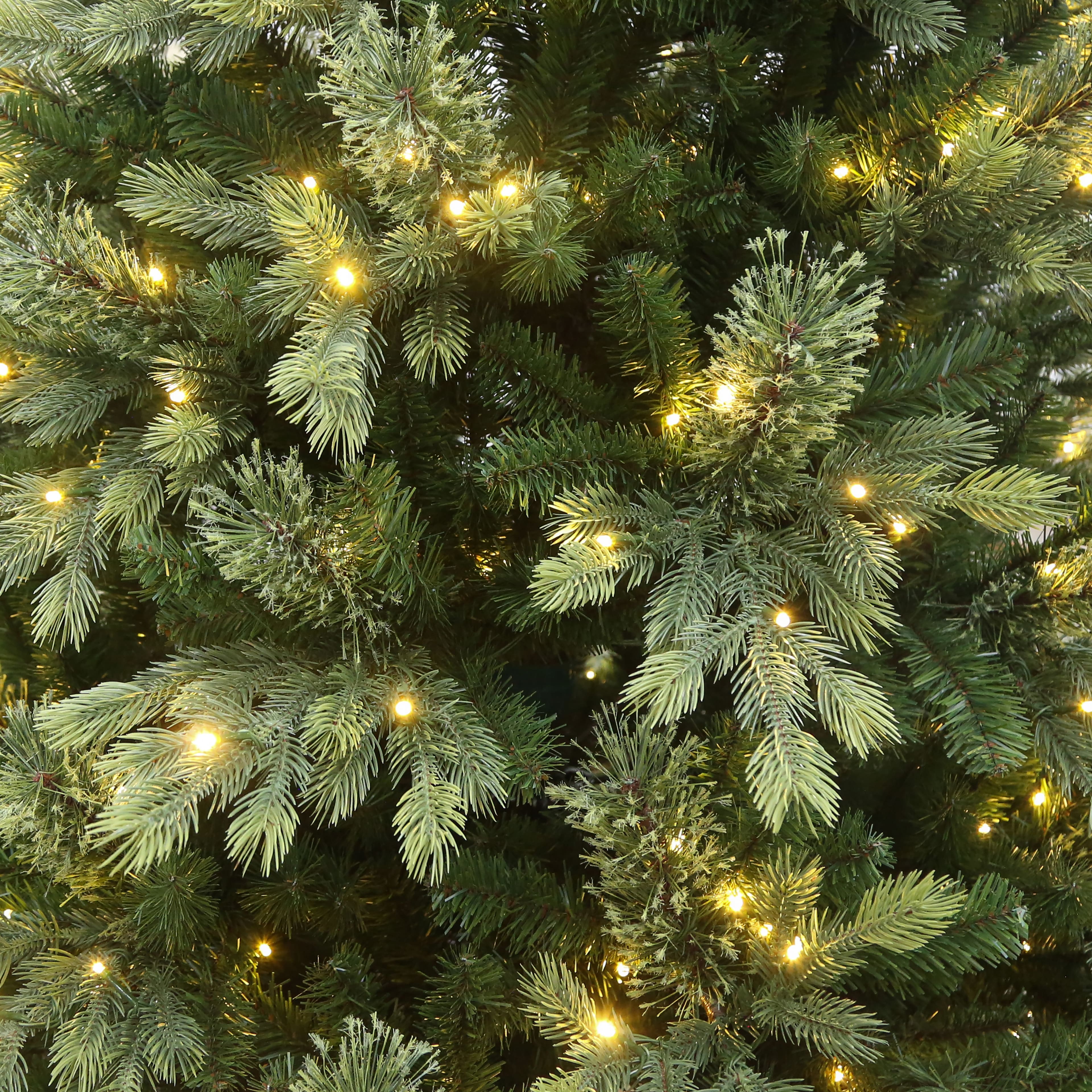 7.5ft. Pre-Lit Hunter Spruce Artificial Christmas Tree, Color Changing LED Lights by Ashland®