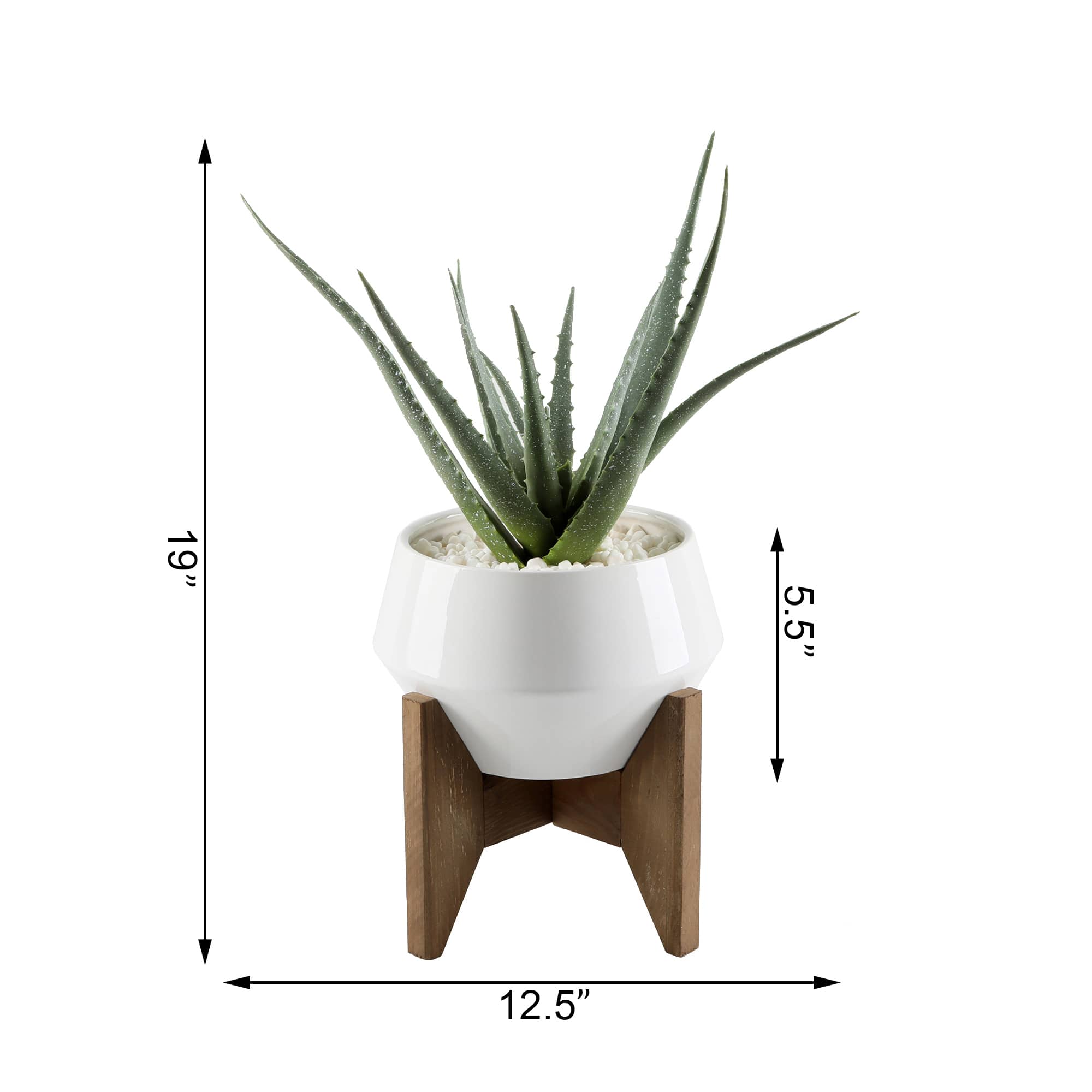 Flora Bunda® 20" Aloe In 8.5" Geo Ceramic Pot On Wood Stand