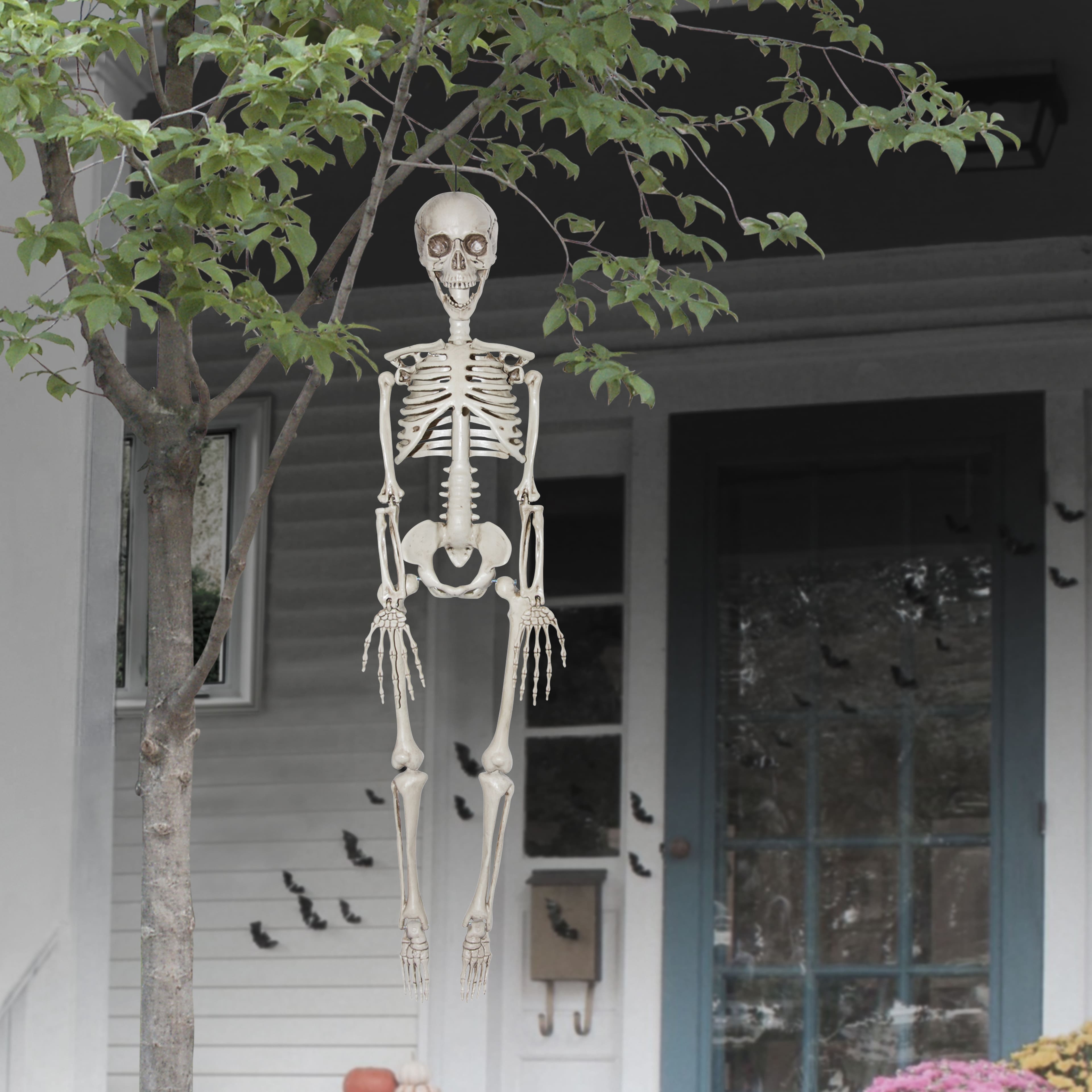 35" Skeleton by Ashland®