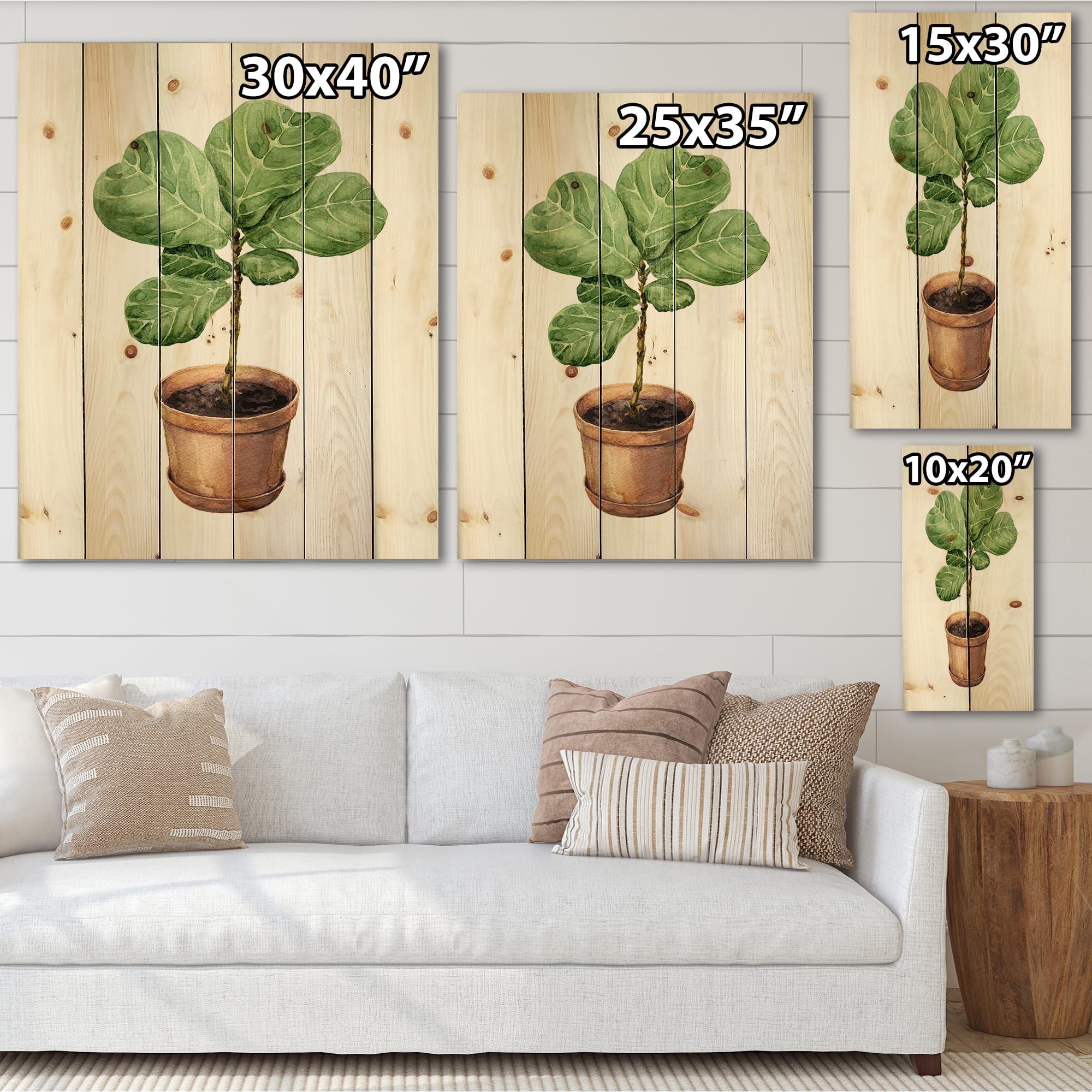 Designart - Ficus Lyre In Clay Flowerpot