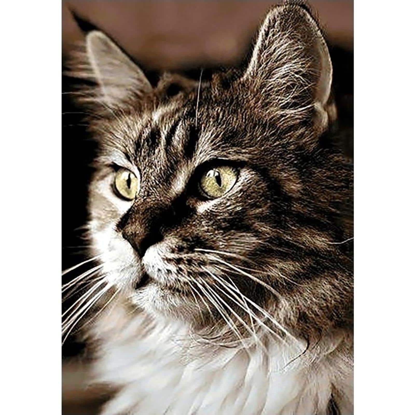 Crafting Spark Cat at Home Diamond Painting Kit