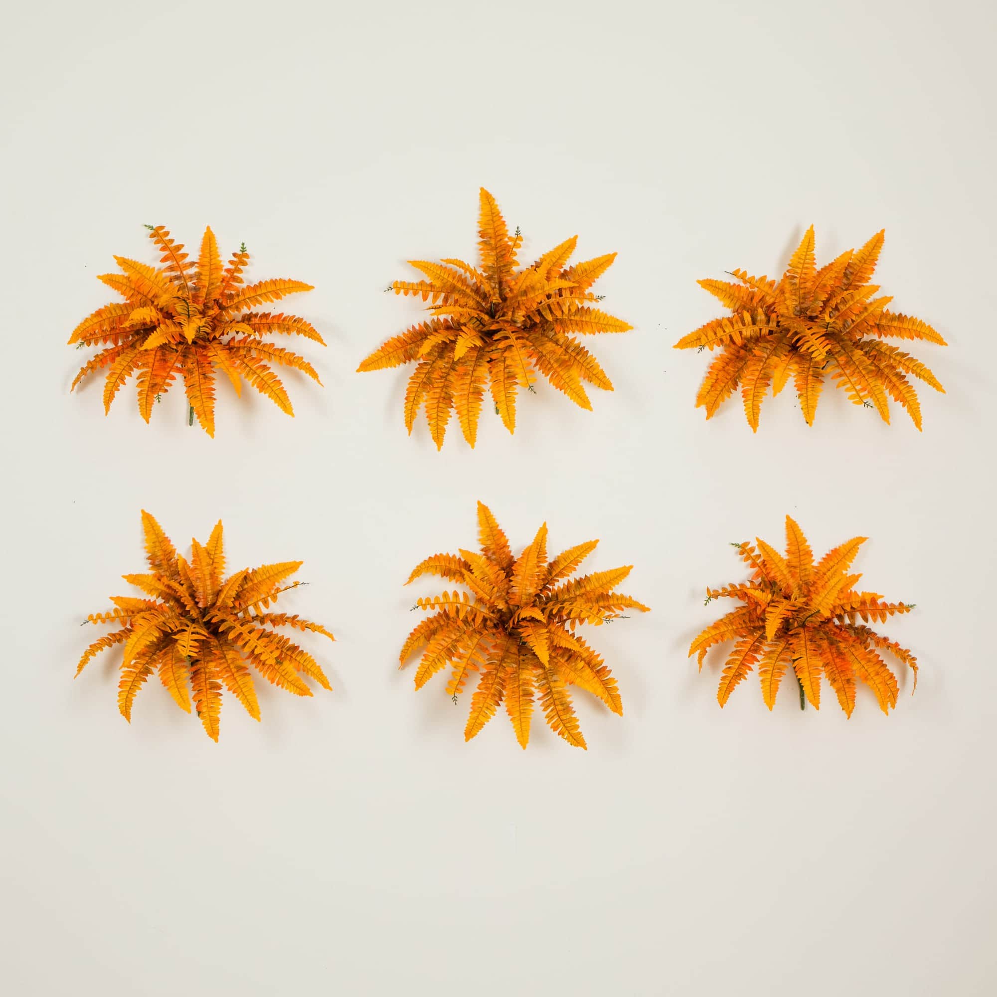 19in. Autumn Artificial Fall Boston Fern - Set of 6