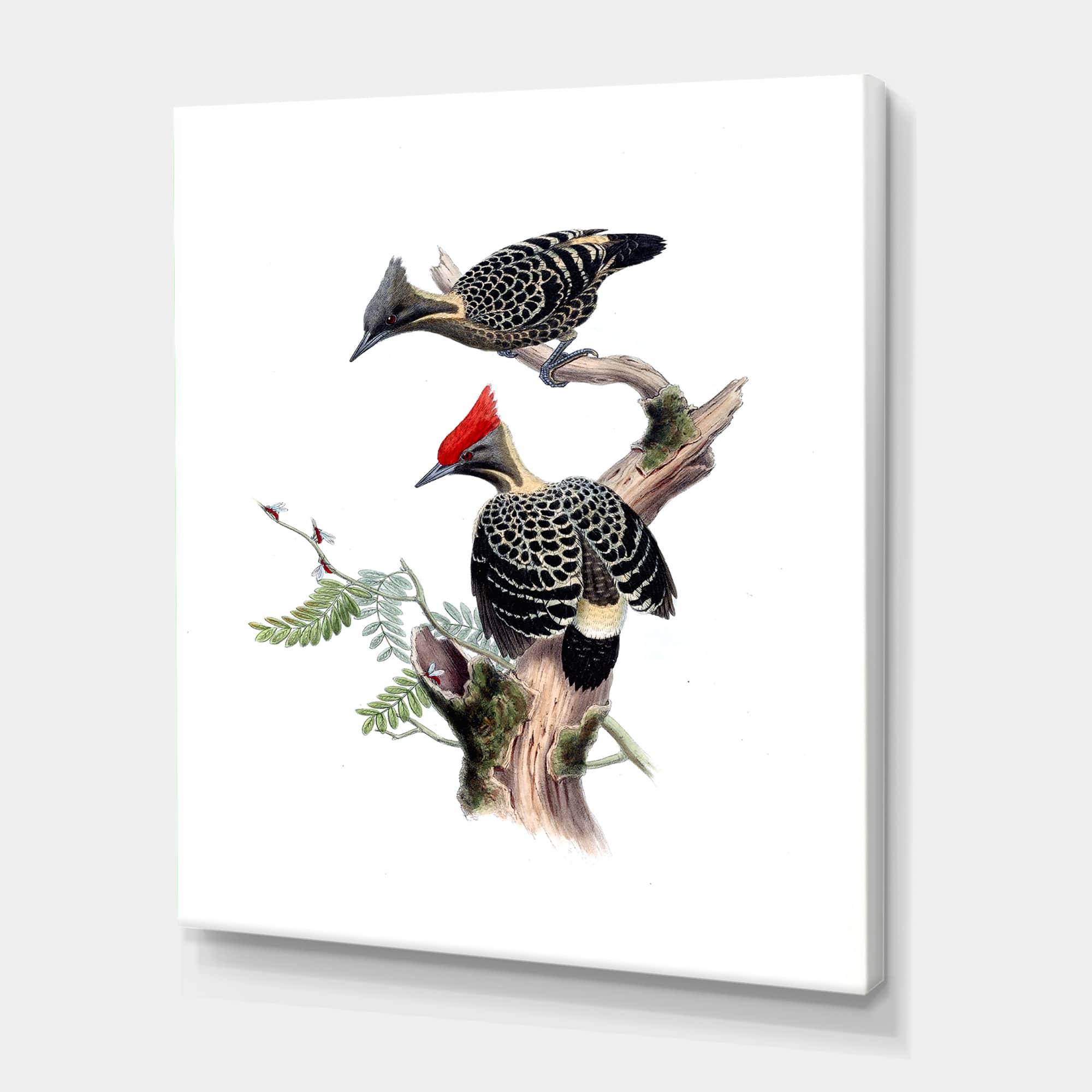 Designart - Vintage Birds In The Wild VI