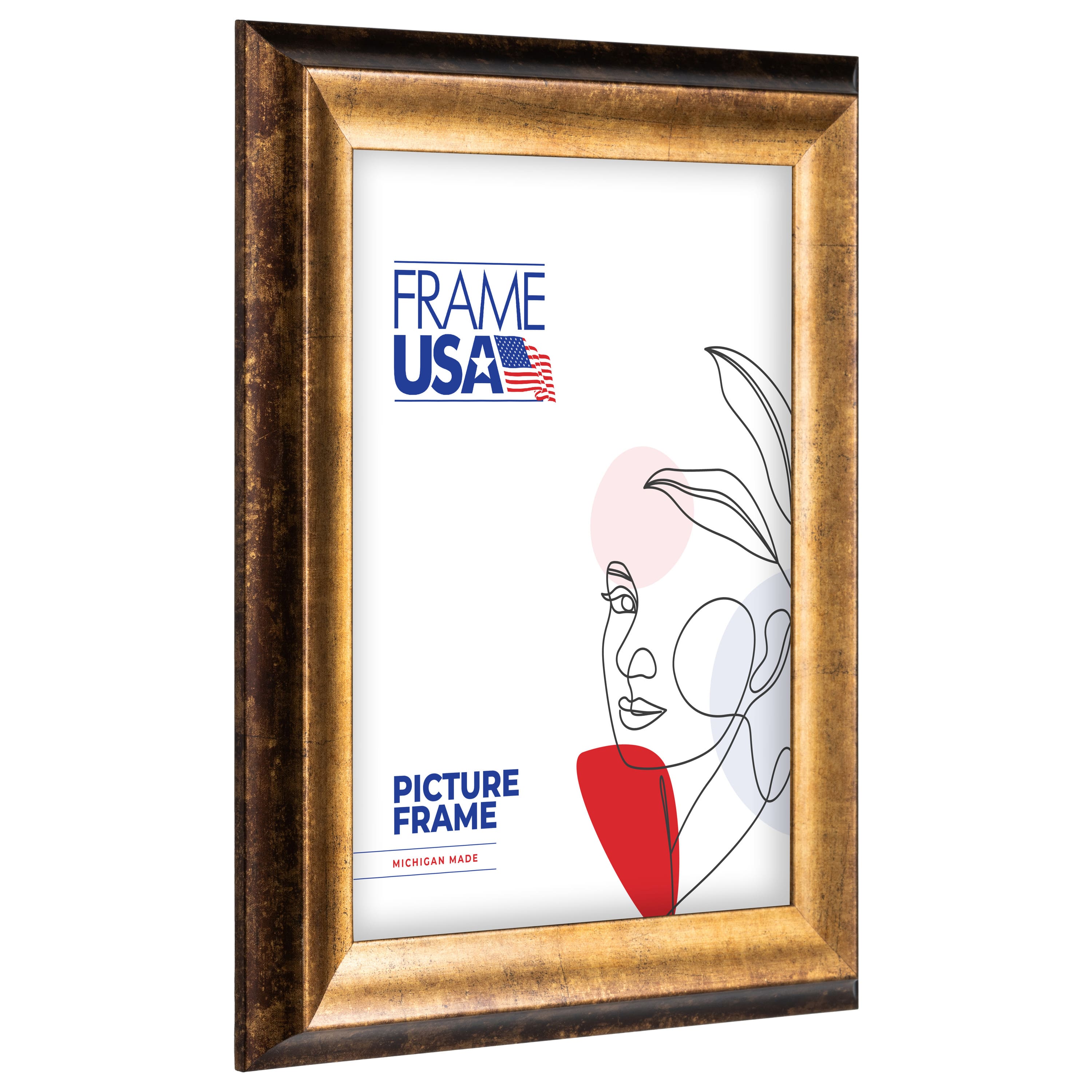 Frame USA Verona Narrow Bronze Single Image Picture Frame with Mat