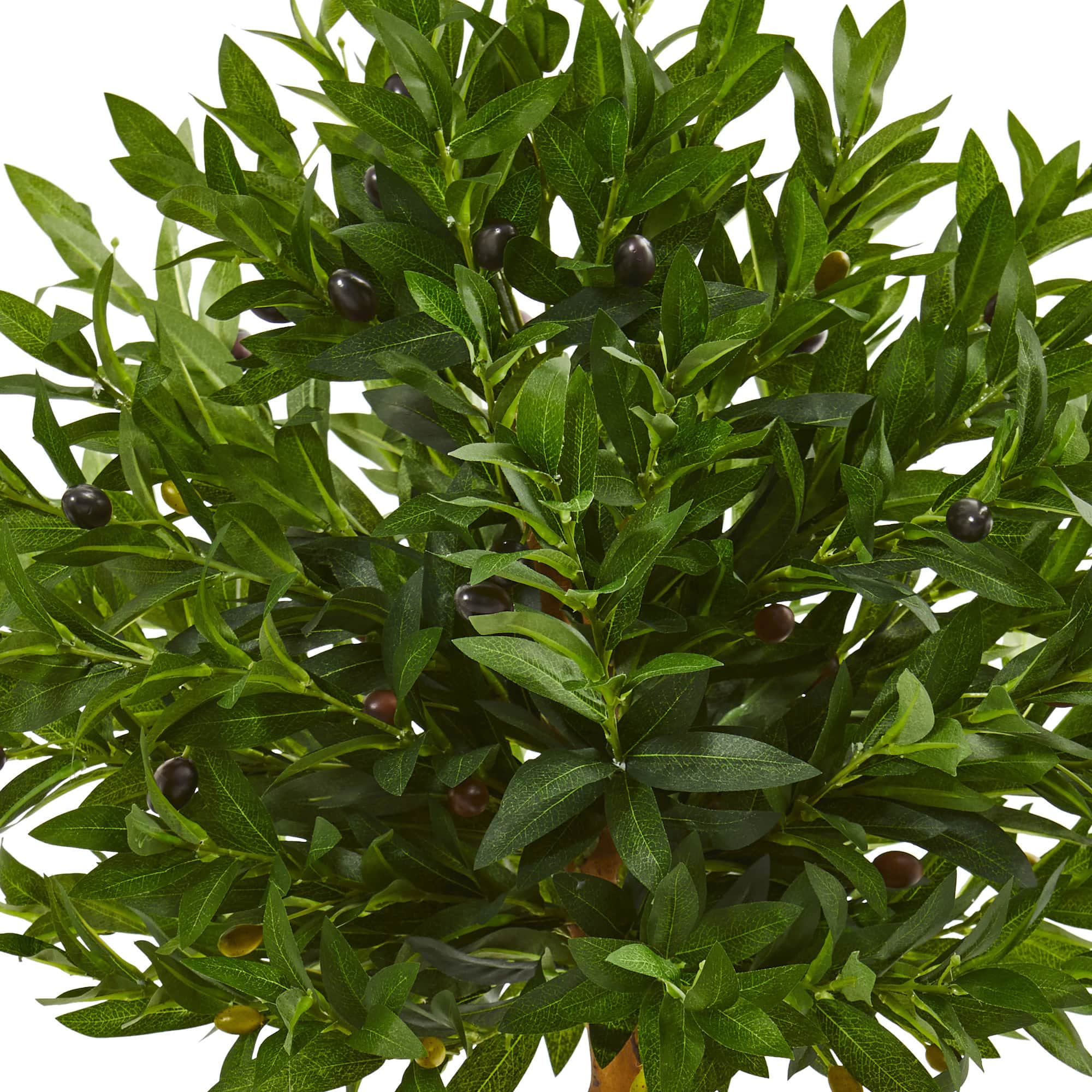 3.5ft. Olive Topiary Tree in Sand Stone Planter