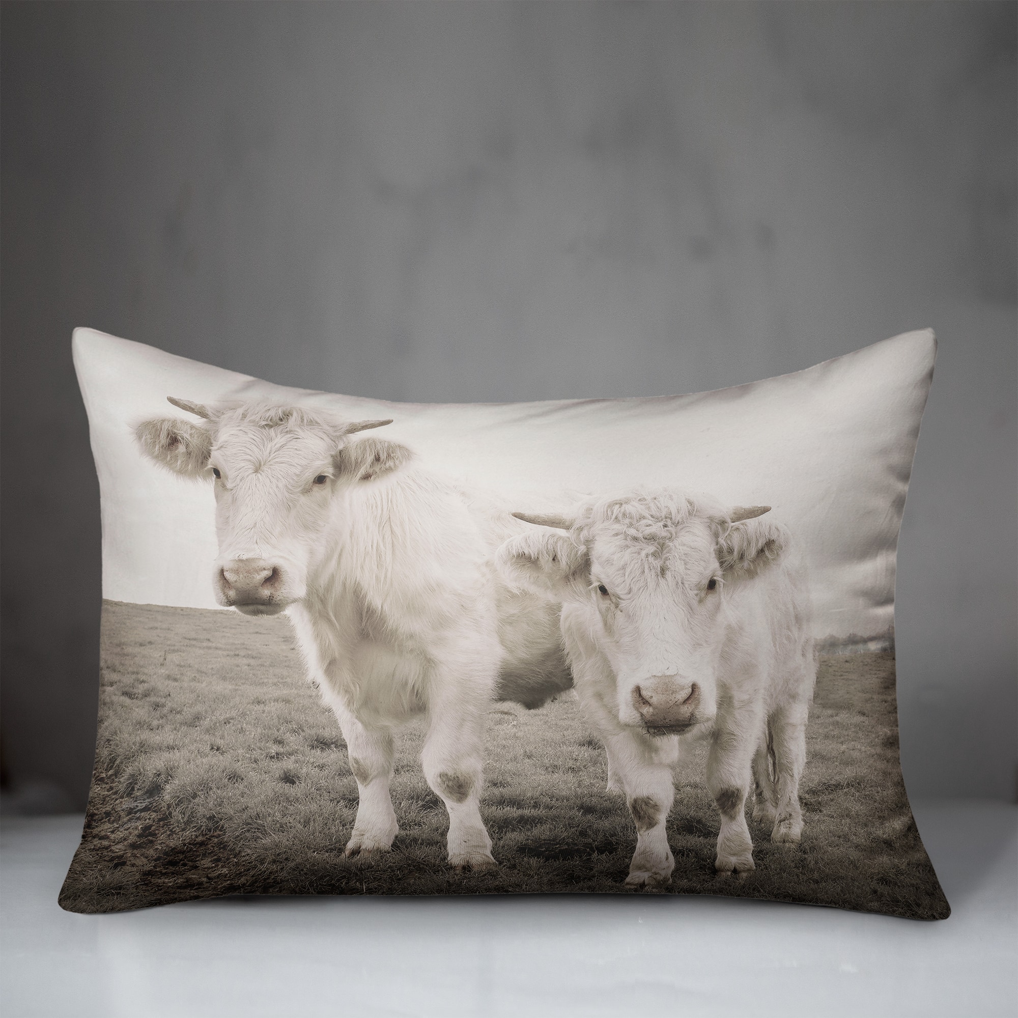 Cow Photograph Indoor/Outdoor Pillow