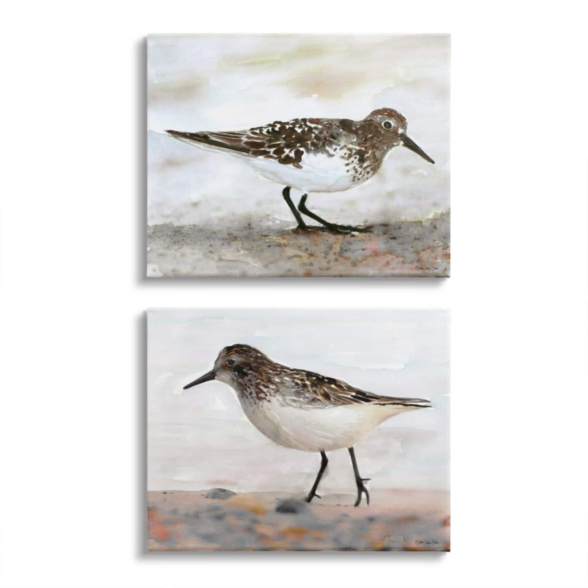 Stupell Industries Sandpipers on Coast Nautical Bird Beach Scene Canvas Wall Art