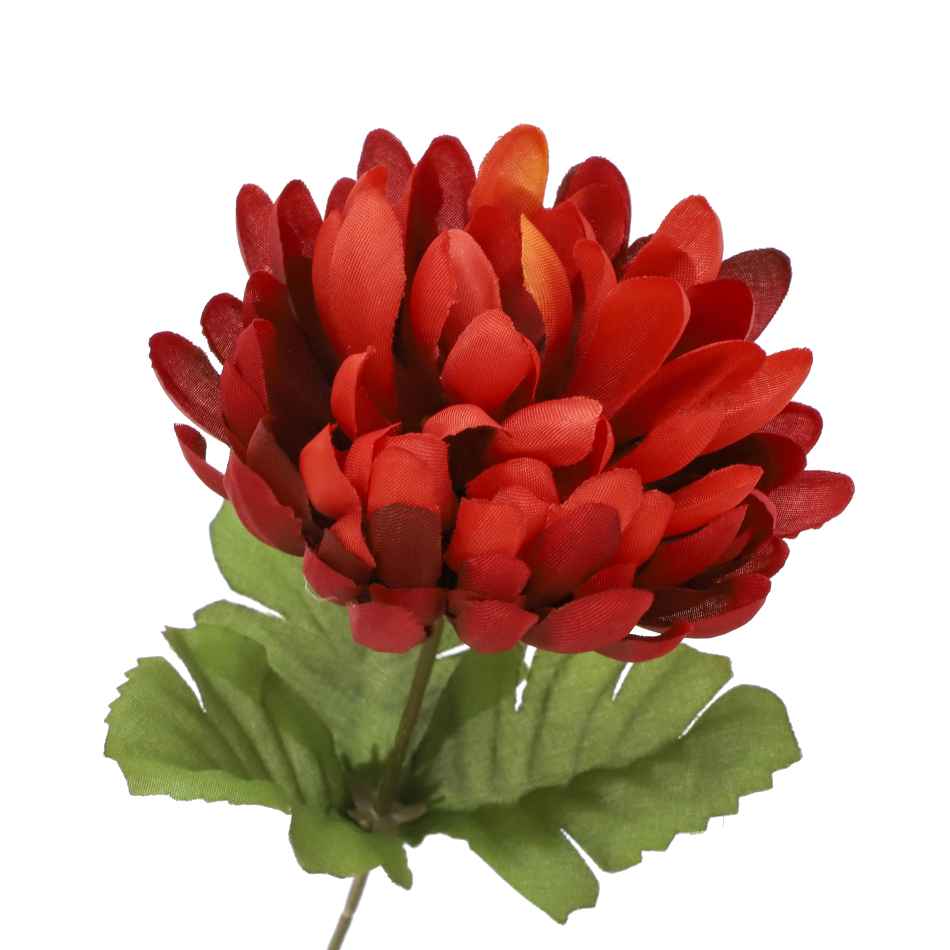 14" Mum Bush by Ashland