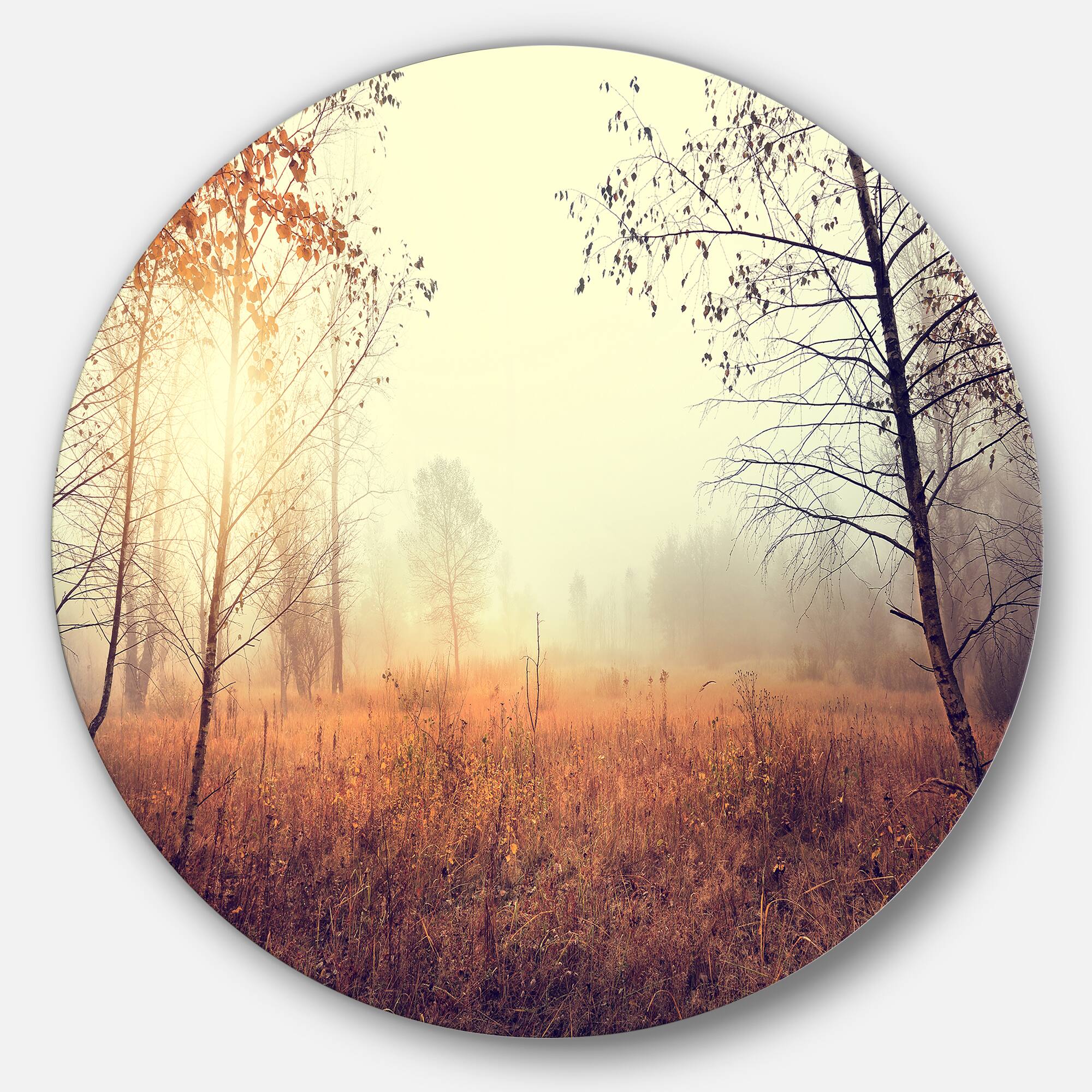 Designart - Beautiful Natural Landscape with Trees' Extra Large Wall Art Landscape