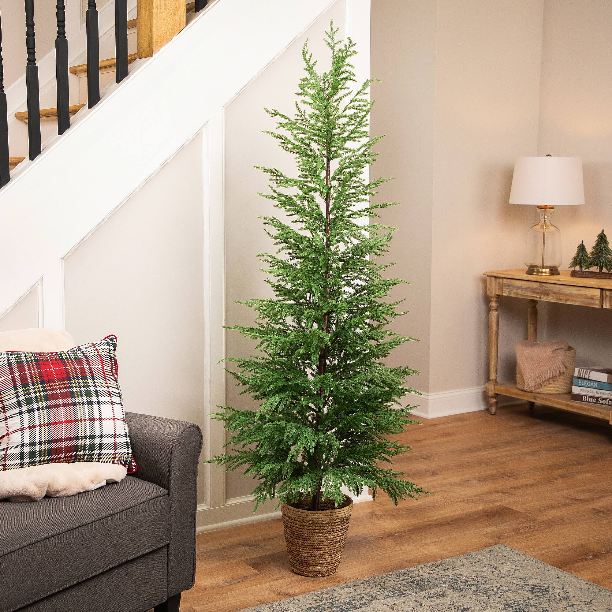 Northlight 6ft. Unlit Medium Norfolk Pine Artificial Potted Christmas Tree