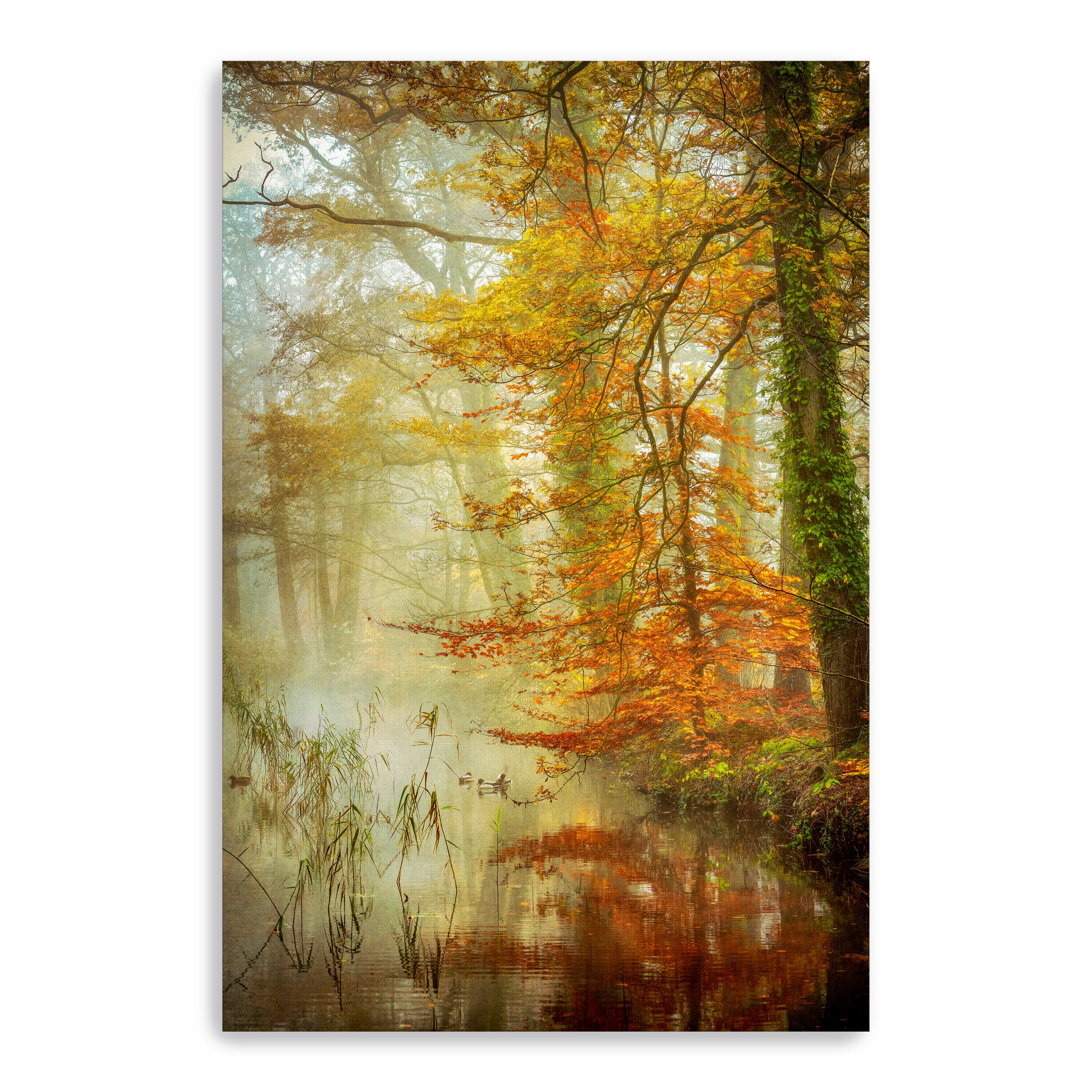 In Romance Canvas Giclee