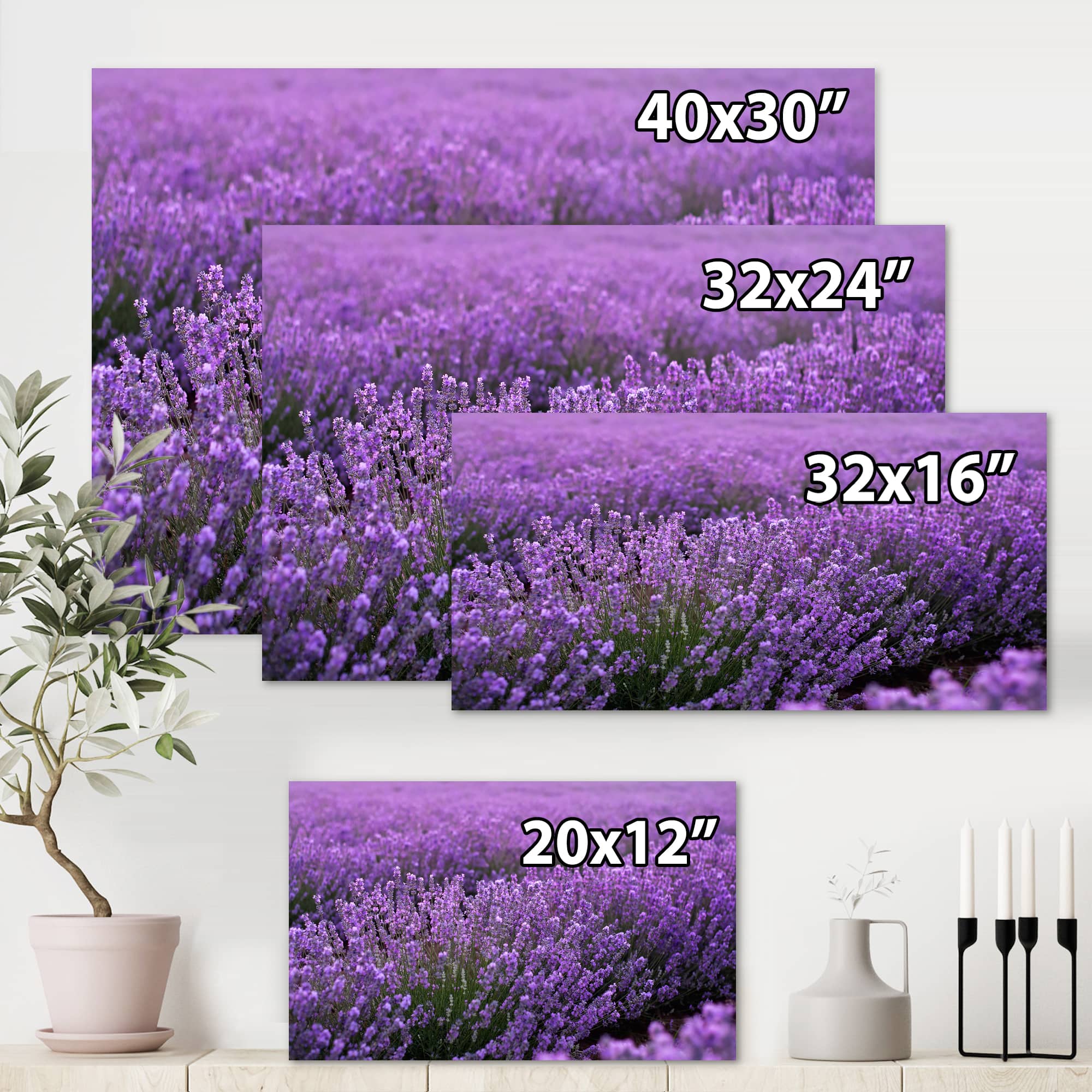 Designart - Blooming Purple Lavender Field - Farmhouse Canvas Wall Art Print