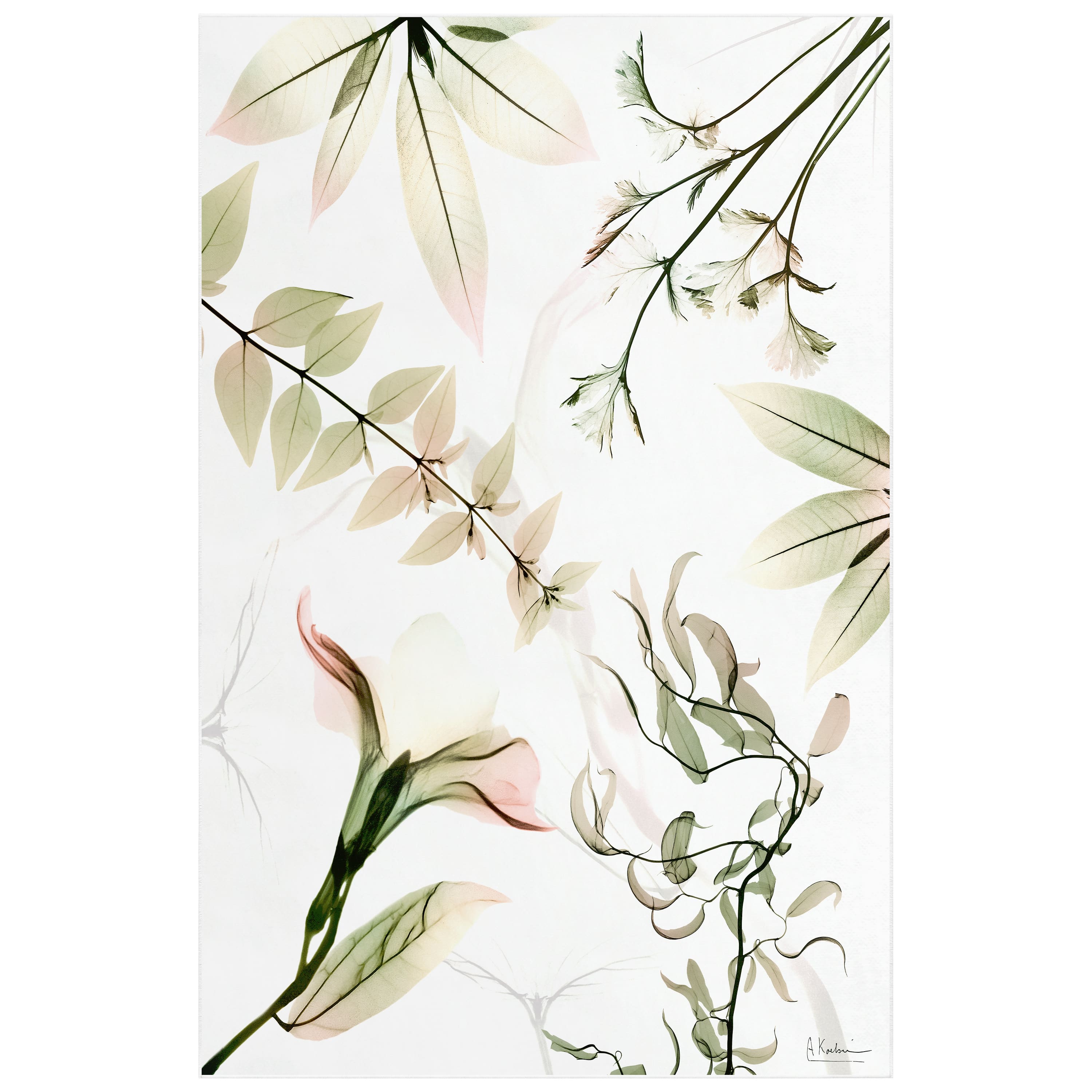 Empire Art Direct 5ft. x 7.5ft. Harmony of Existence I Tapis D'Art Flowers Area Rug