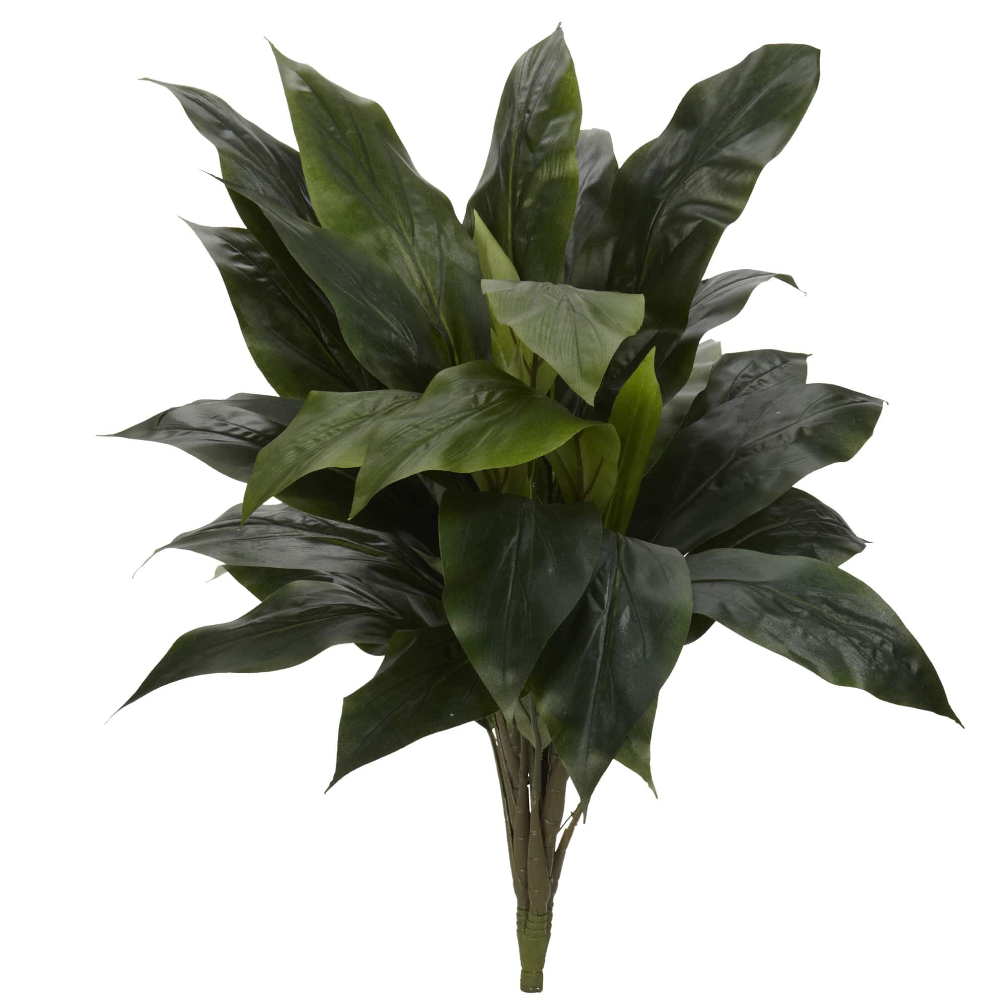 Green Cordyline Pick, 3ct.