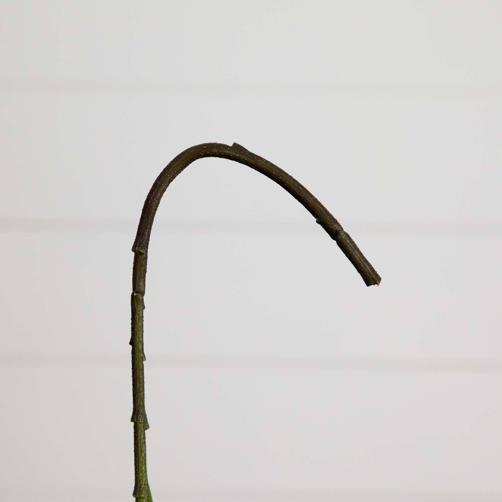 20" Blue Hydrangea Flower Stems, 3ct.