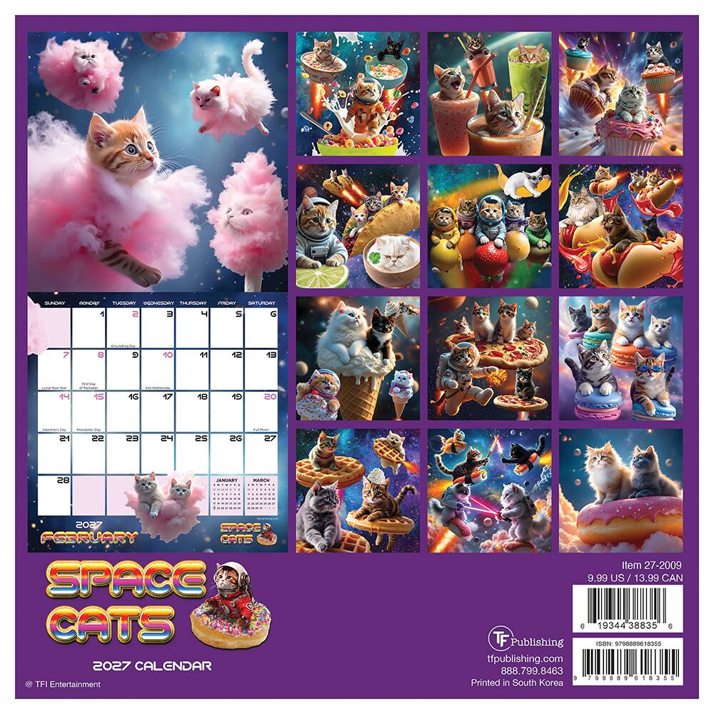 2027 Space Cats Mini Calendar
