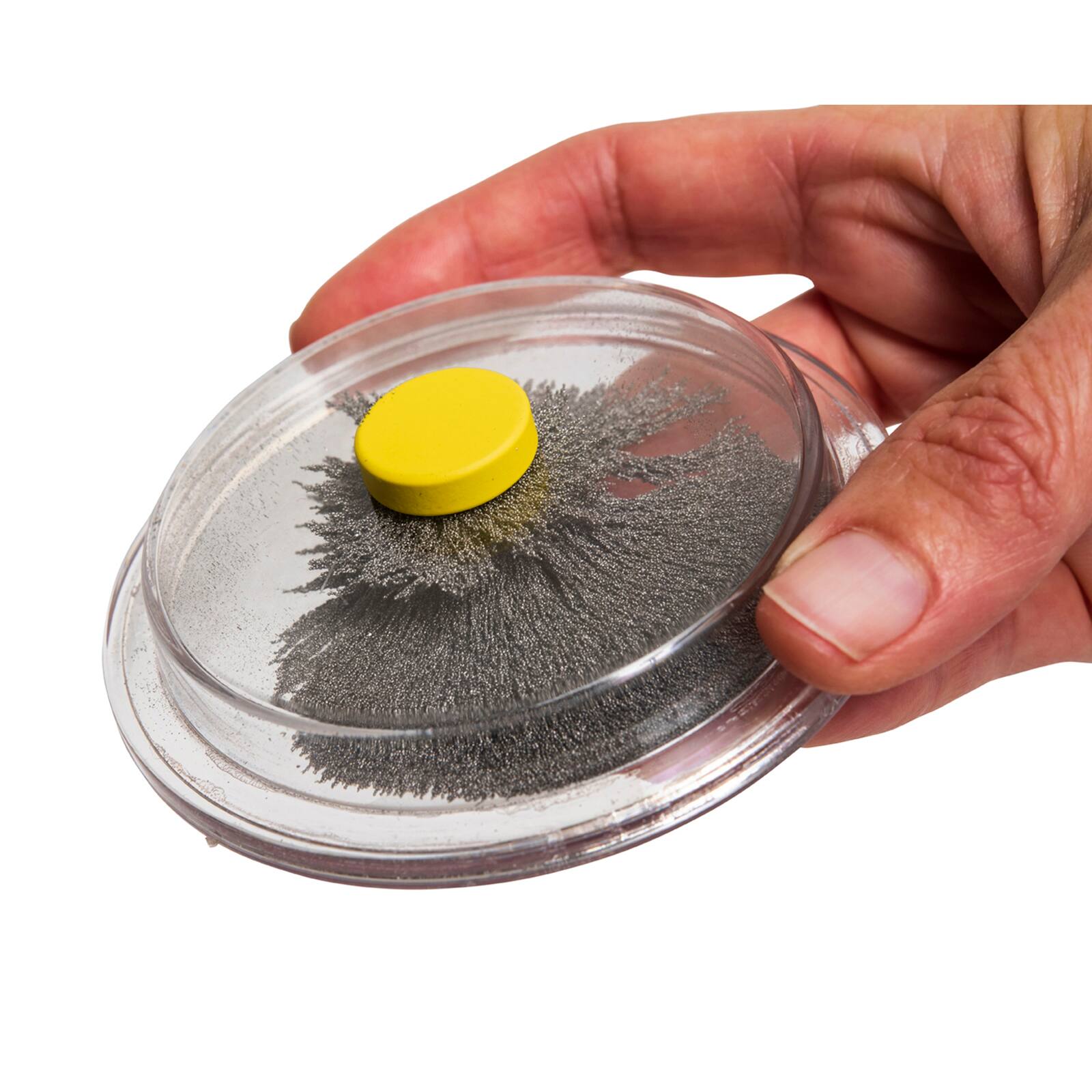 Dowling Magnets® Magnetic Field Viewing Kits with Steel Filings, 3ct.