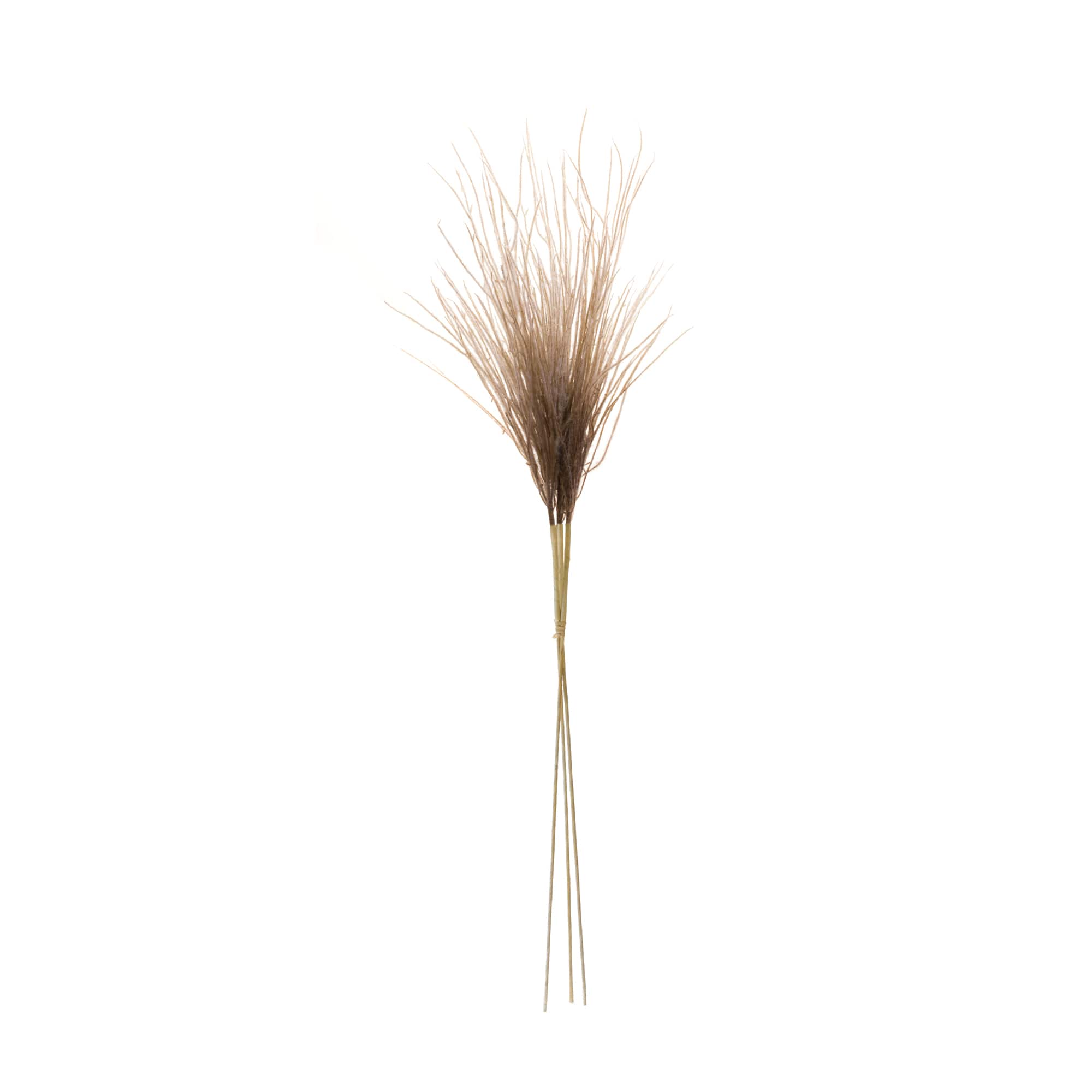 41" Grass Plume Bundles