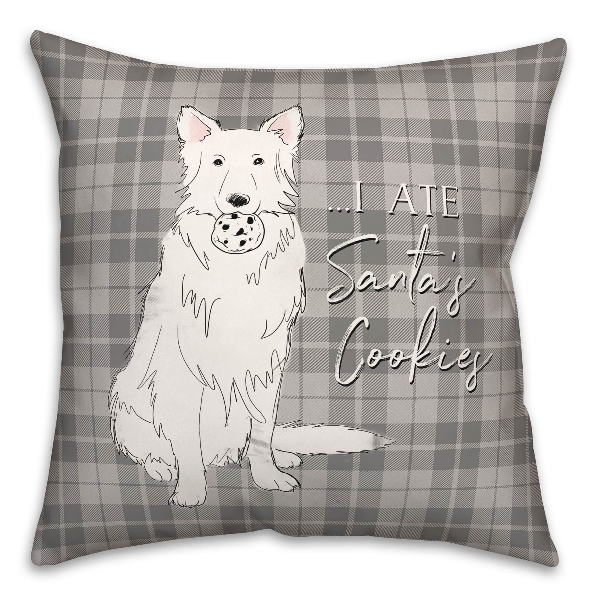 I Ate Santa's Cookies 18x18 Throw Pillow