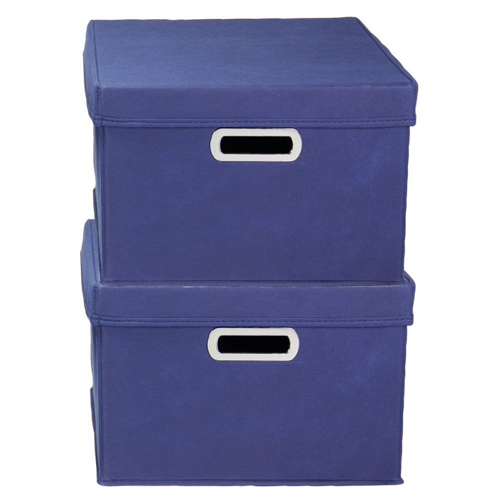 Household Essentials Storage Bins with Lids, 2ct.