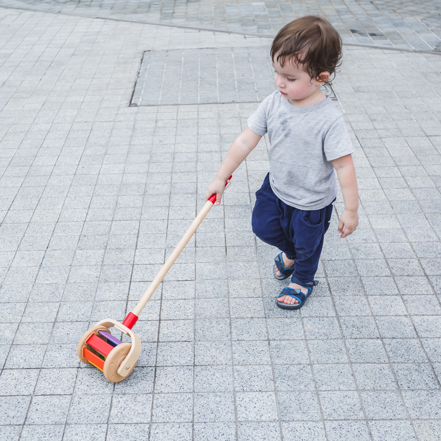 PlanToys Walk N Roll Wooden Push & Pull Toy