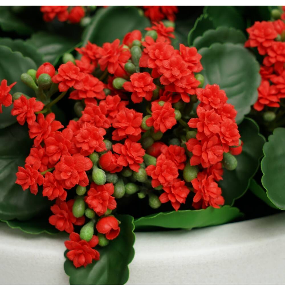 House of Silk Flowers 21" Faux Red Kalanchoe in Stonewash White Ceramic Bowl Arrangement