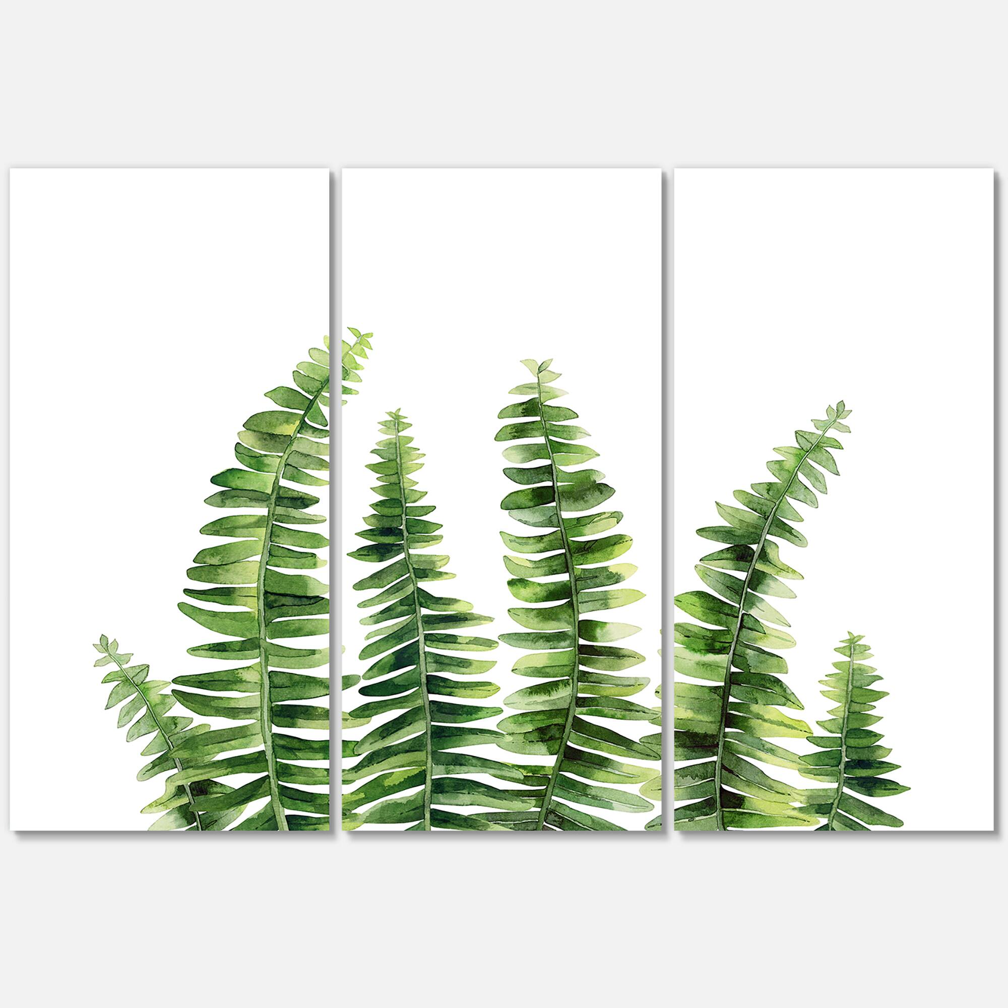 Designart - Fern Leaves Detail II - Farmhouse Canvas Wall Art Print