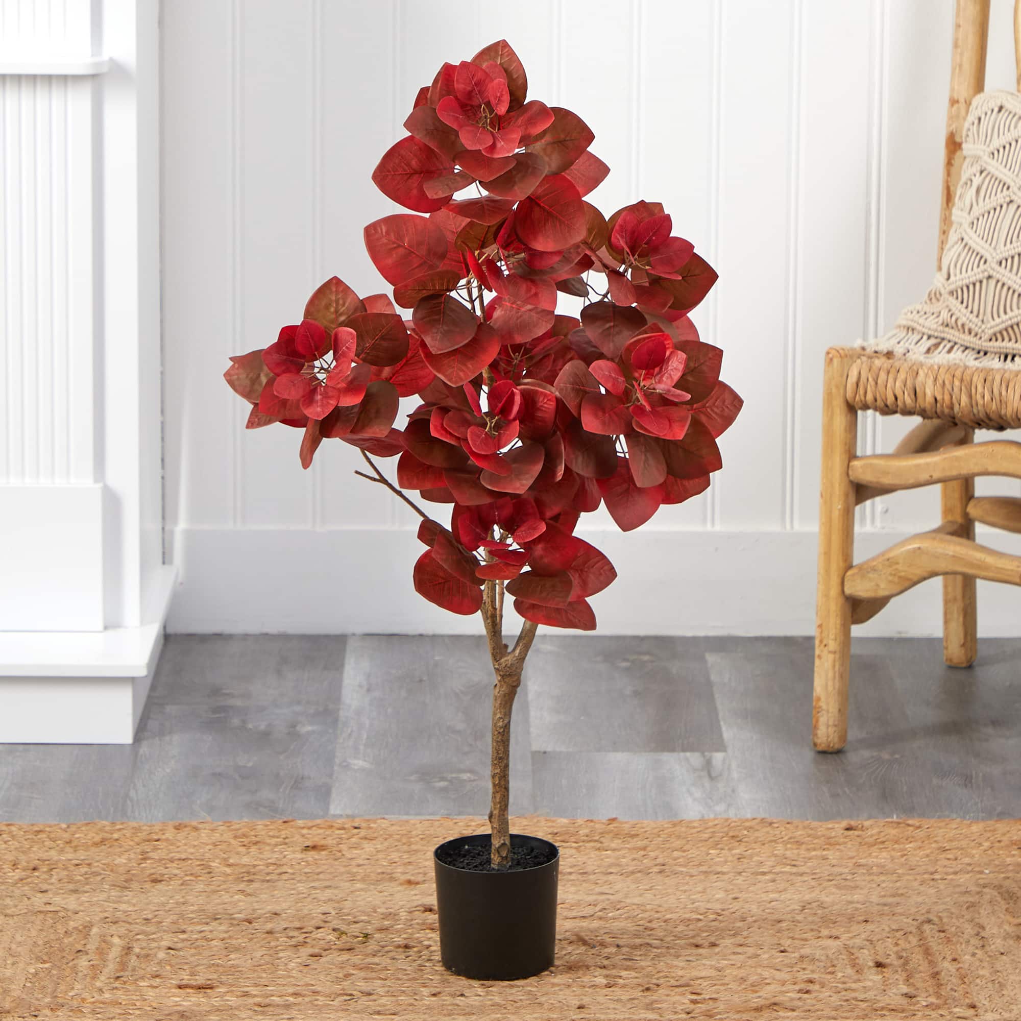 3ft. Potted Autumn Pomegranate Tree