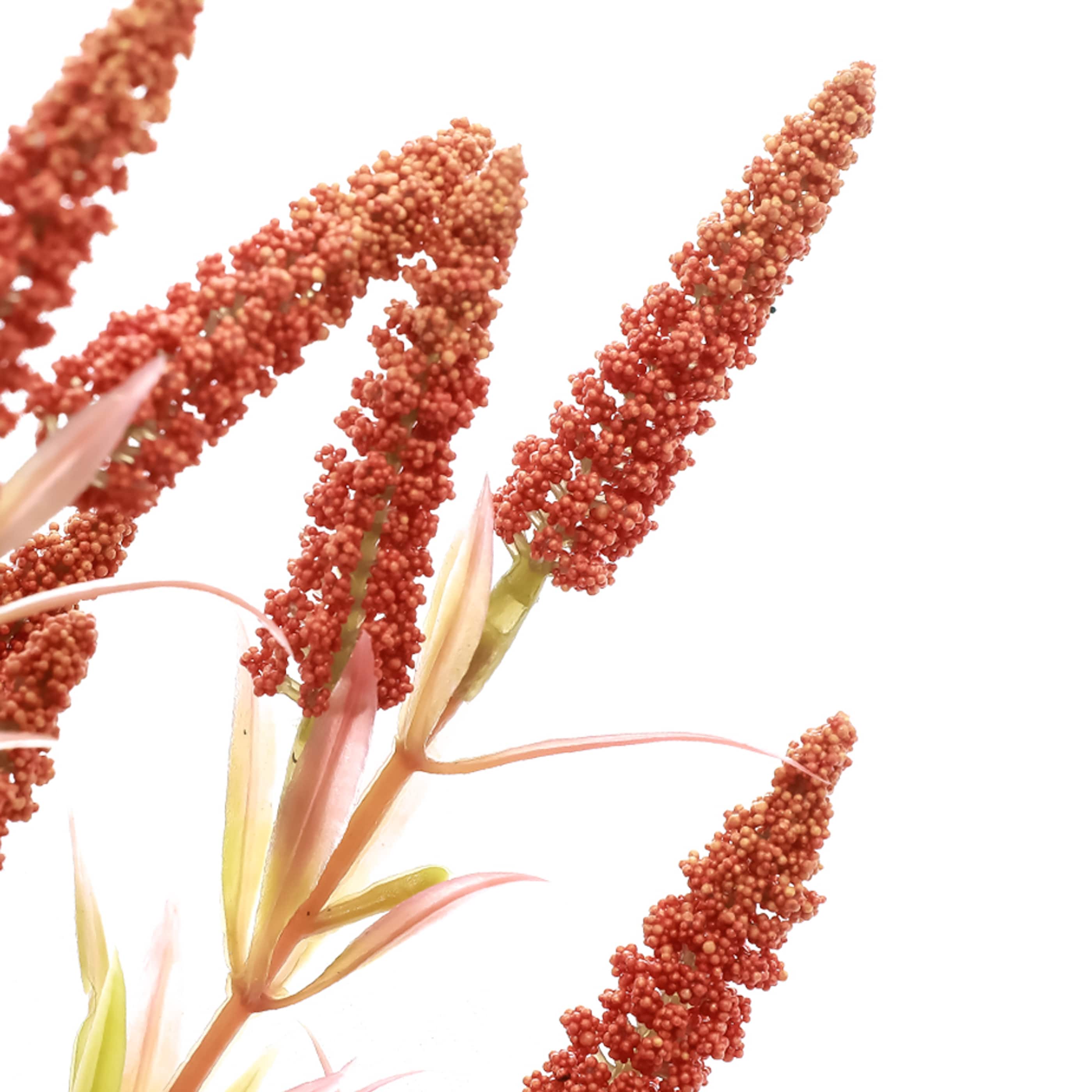 18.5" Orange Heather Berry Bush by Ashland®