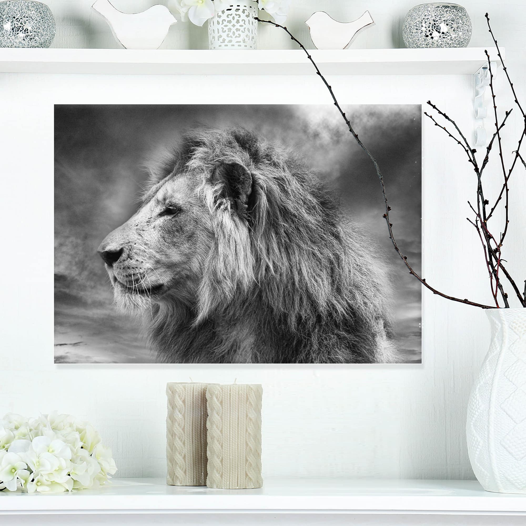 Designart - Grey Wild African Lion - Animal Canvas Art Print