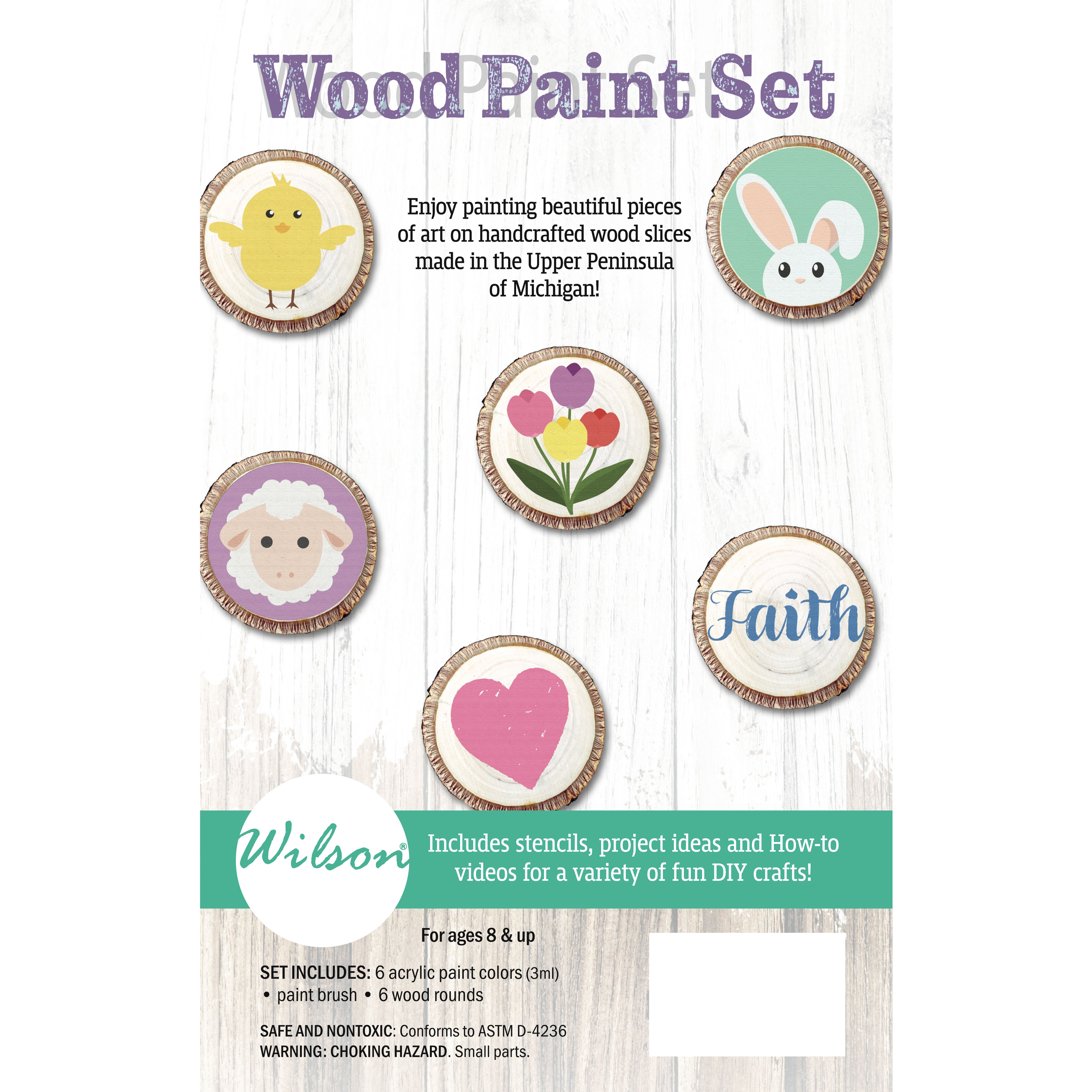 Wilson® Enterprises Wood Paint Set