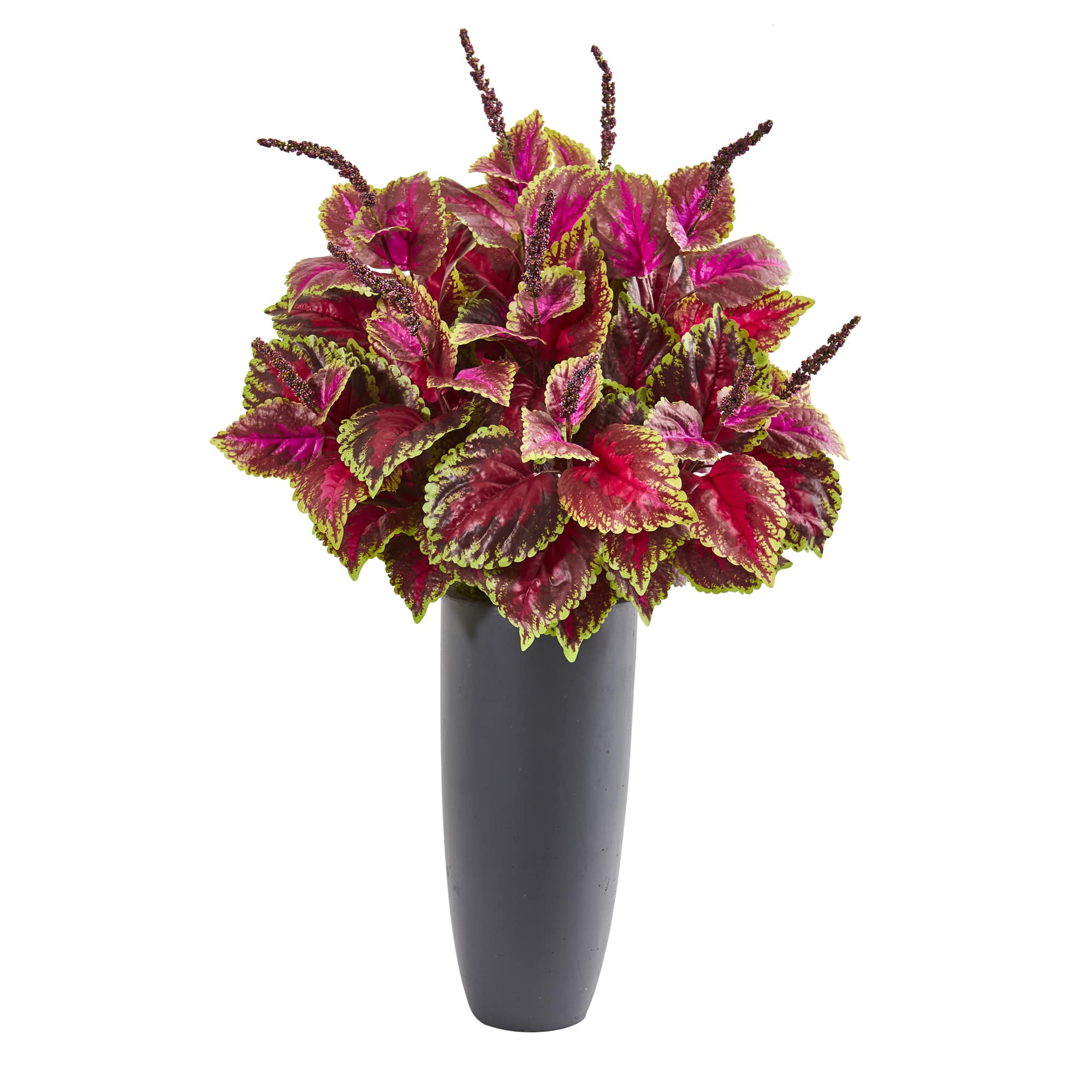 3.5ft. Coleus Plant in Gray Planter