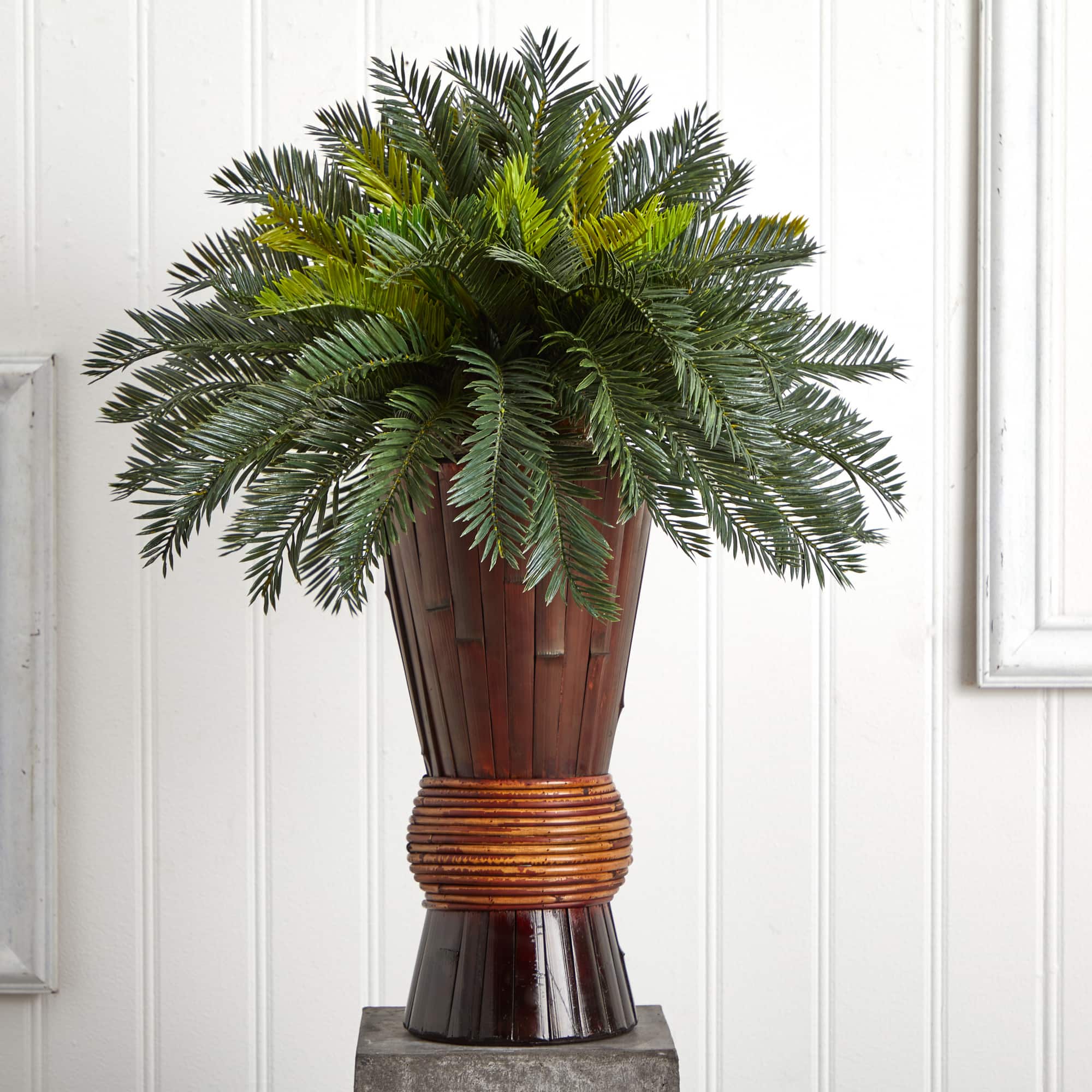 2.5ft Cycas Palm Tree in Bamboo Planter