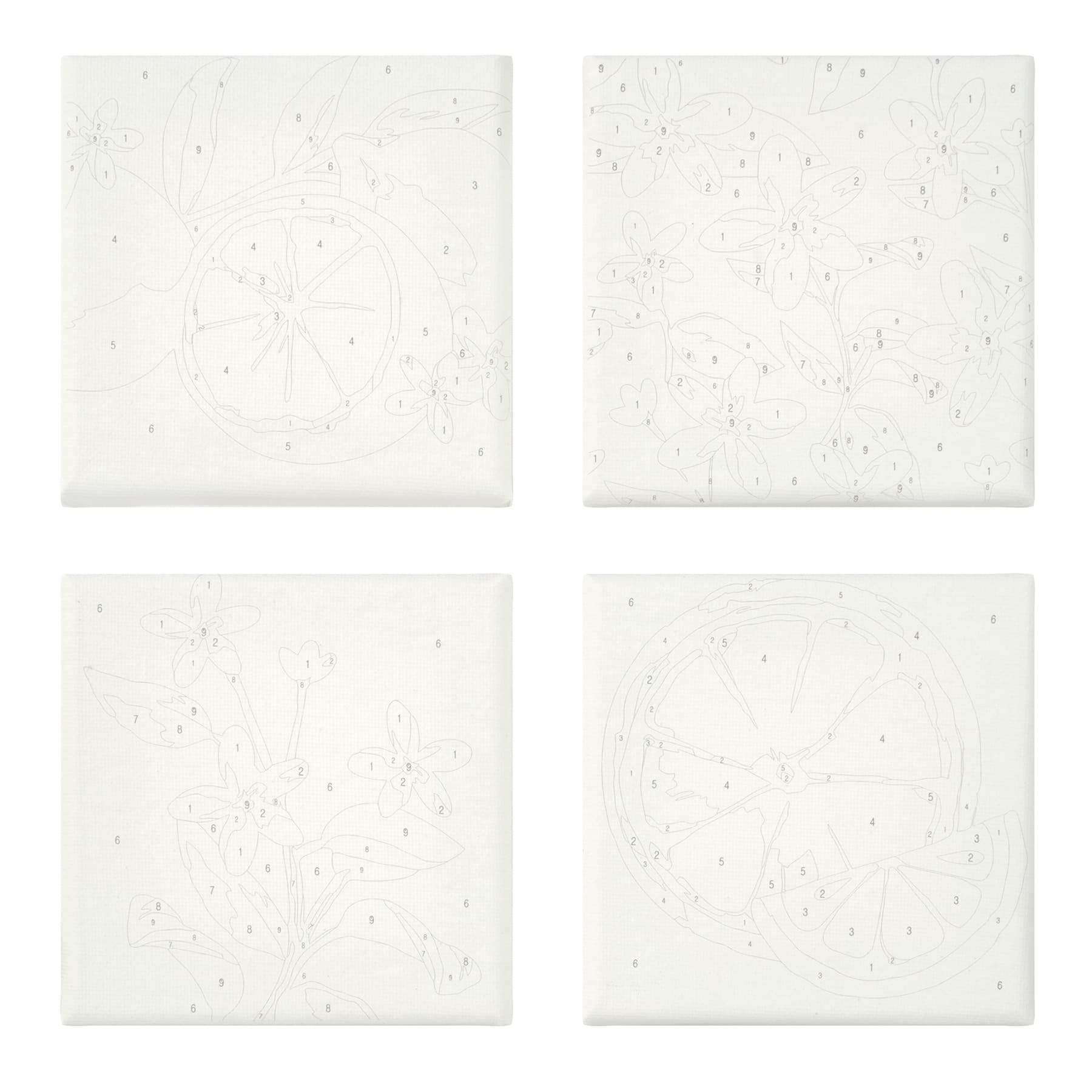 Citrus Paint-by-Number Gallery Mini Kit by Artist's Loft®