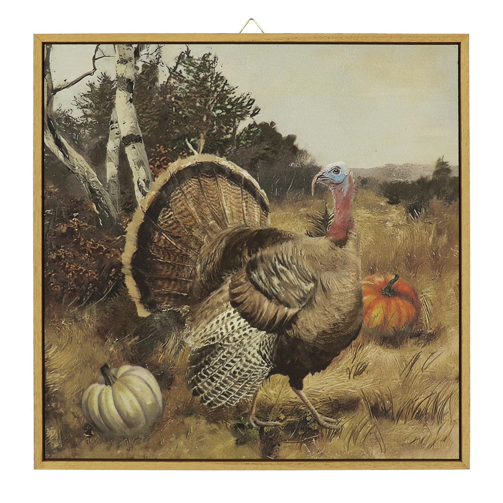 Framed Turkey Wall Décor by Ashland®