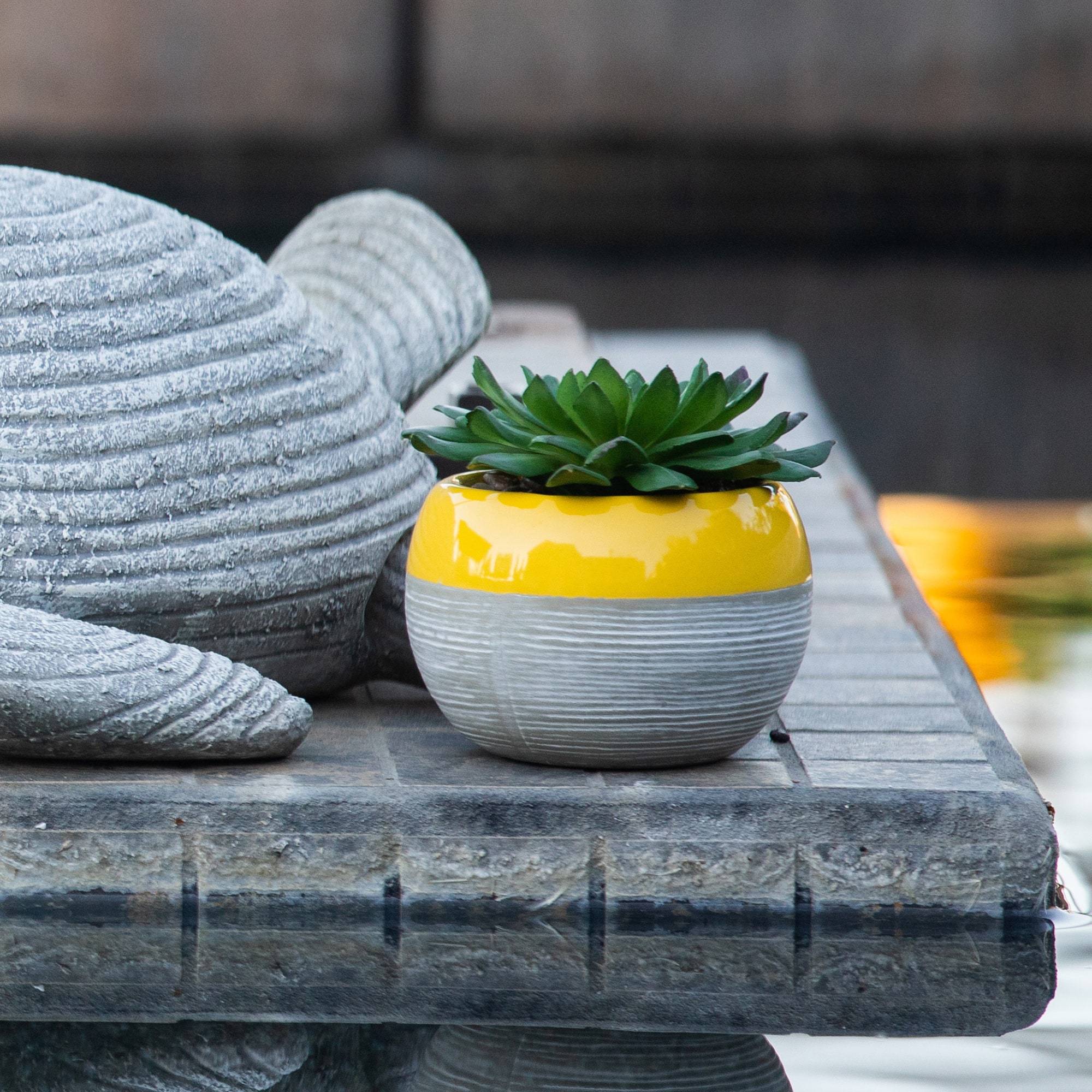 Flora Bunda® Succulent In Two Tone Pattern Yellow Ceramic Pot