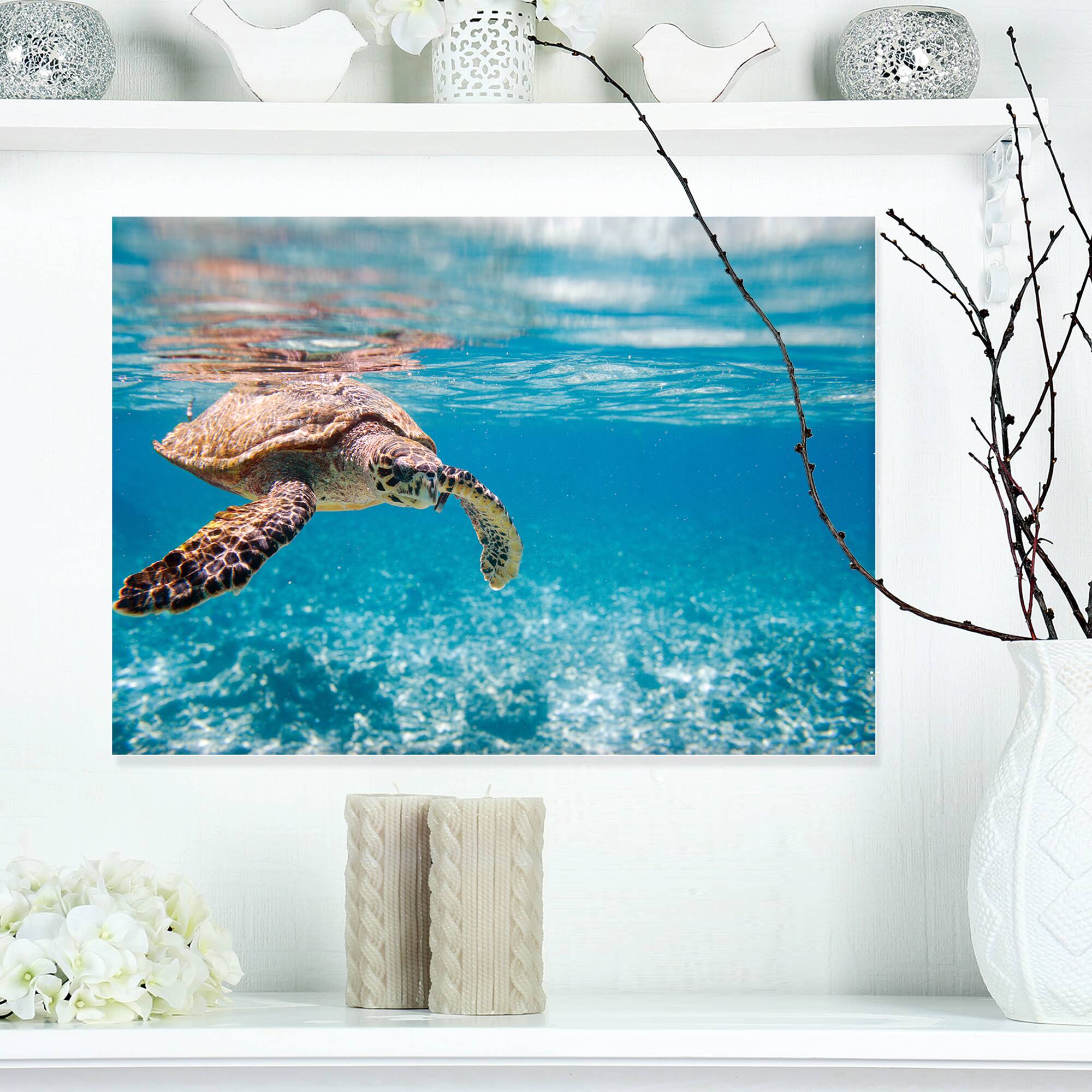 Designart - Large Hawksbill Sea Turtle