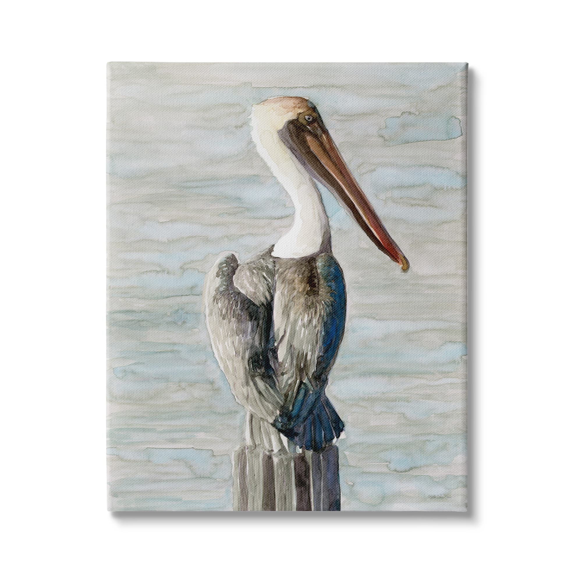Stupell Industries Long Beak Pelican Watercolor Painting Coastal Waterfowl Bird Canvas Wall Art