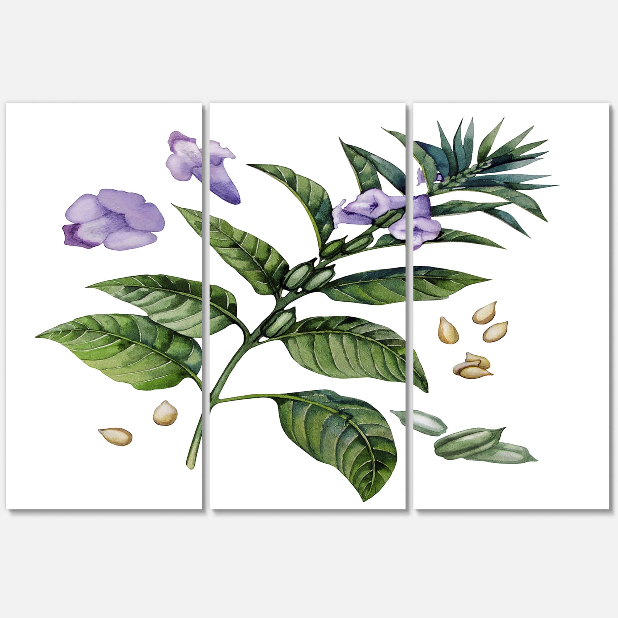 Designart - Purple Sesame Flowers WIth Green Leaves - Traditional Canvas Wall Art Print