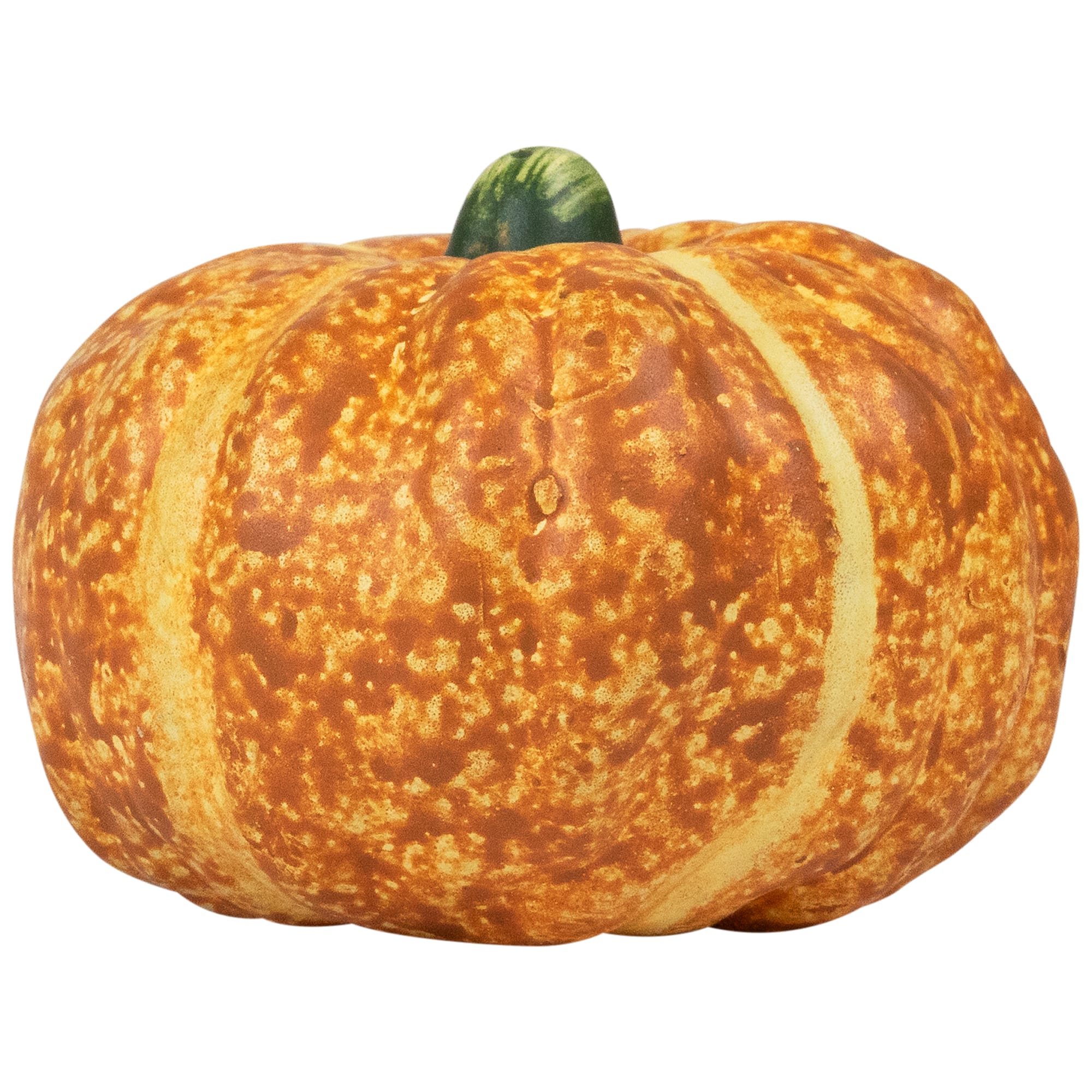 Fall Harvest Ceramic Pumpkins Decoration Set