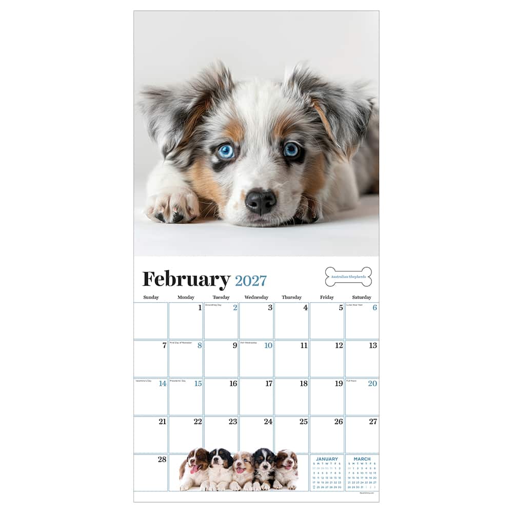 2027 Puppies Wall Calendar
