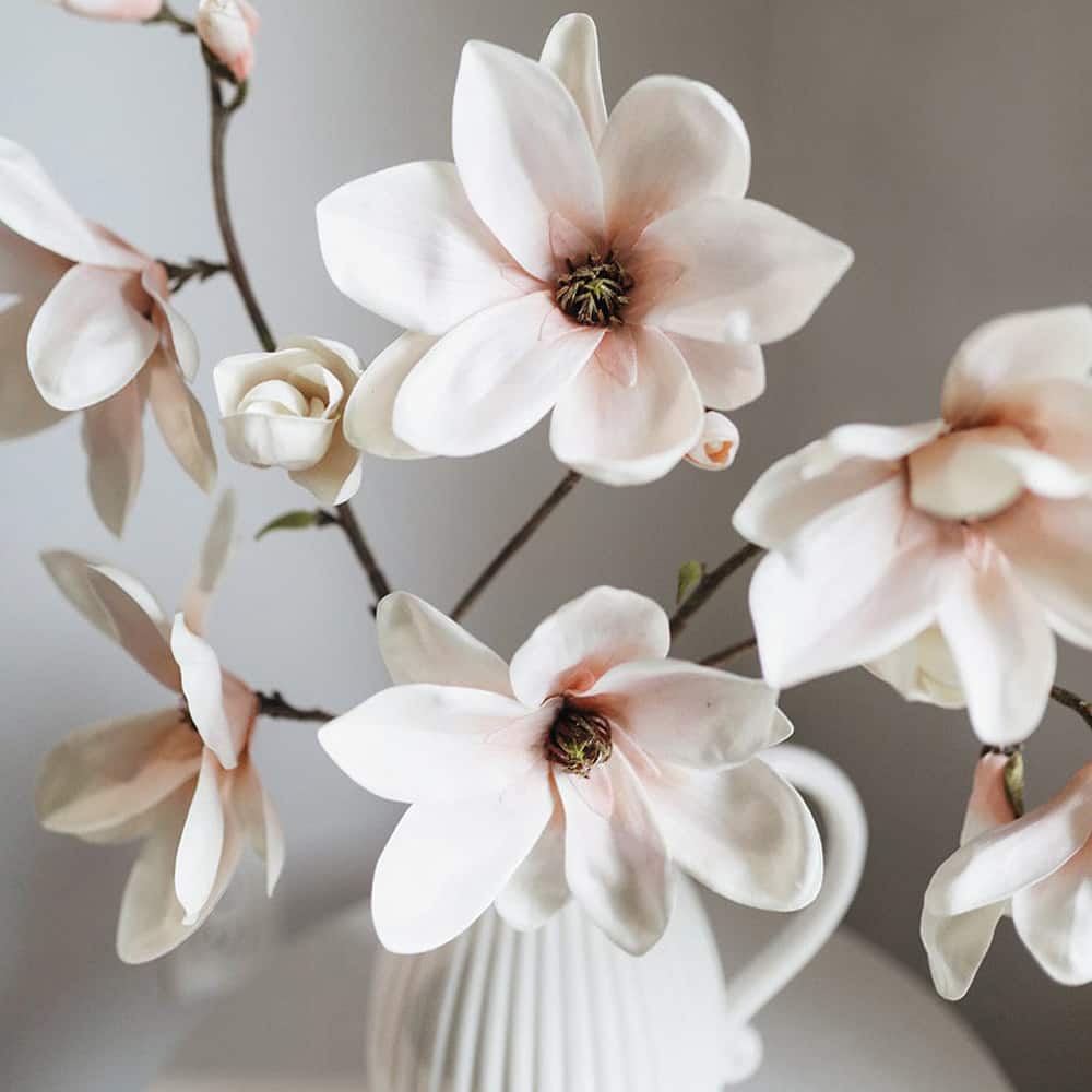 Prestige Botanicals 35" Artificial Blush Magnolia Blossom Branch Stem