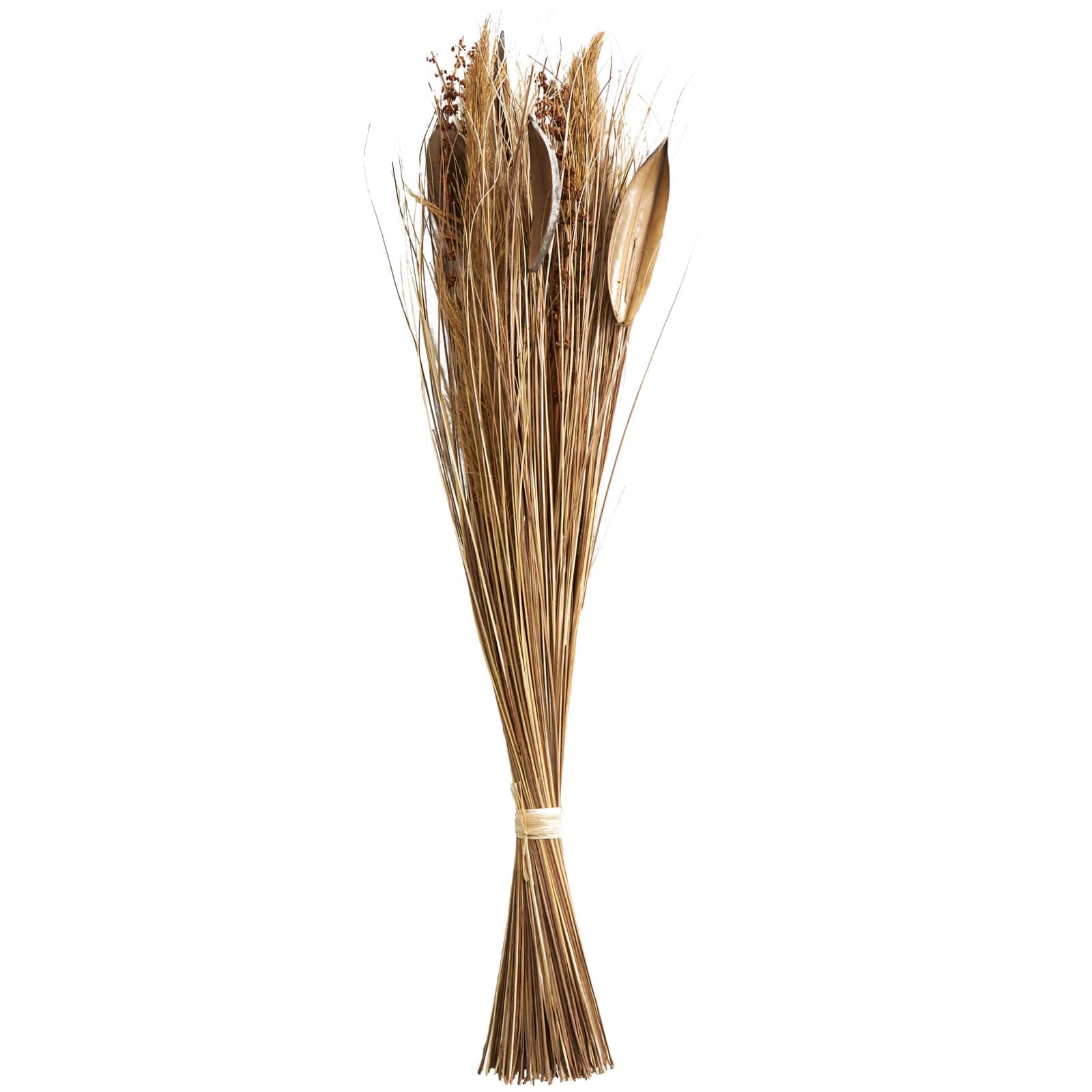 Brown Dried Large Leaf Plant & Branch Bundle