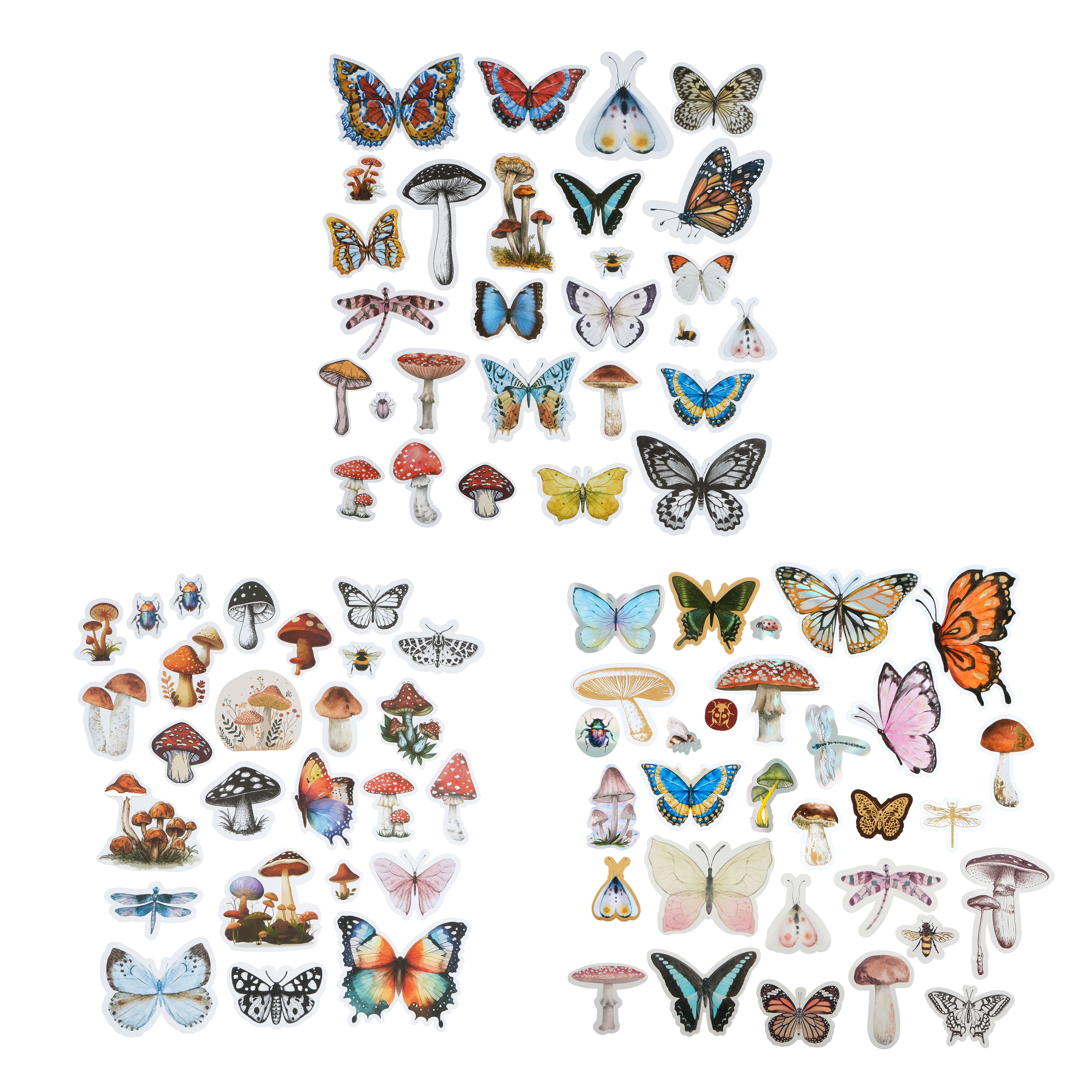 12 Pack: Nature Ephemera by Recollections™