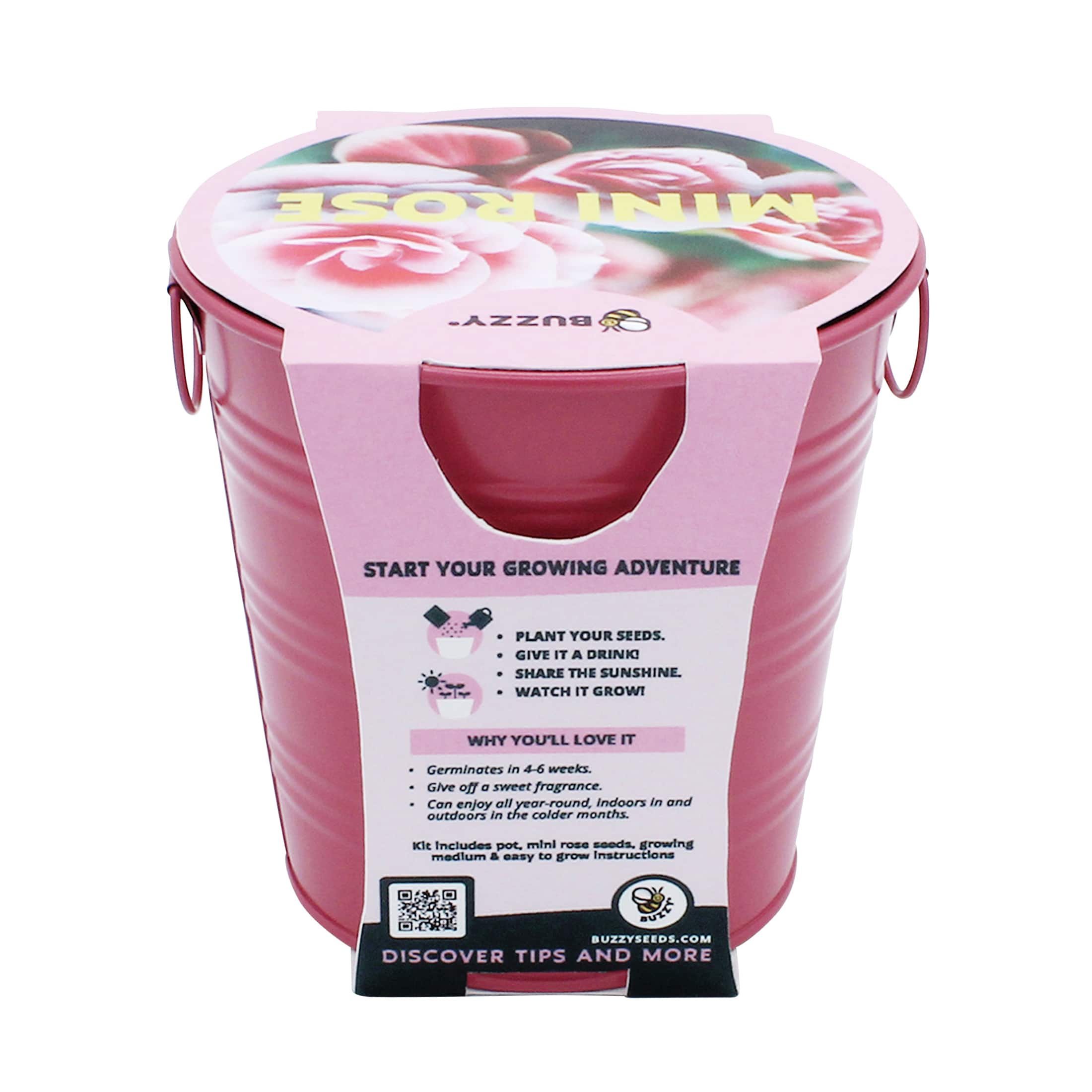 Buzzy® Mini Rose Pail Complete Grow Kit
