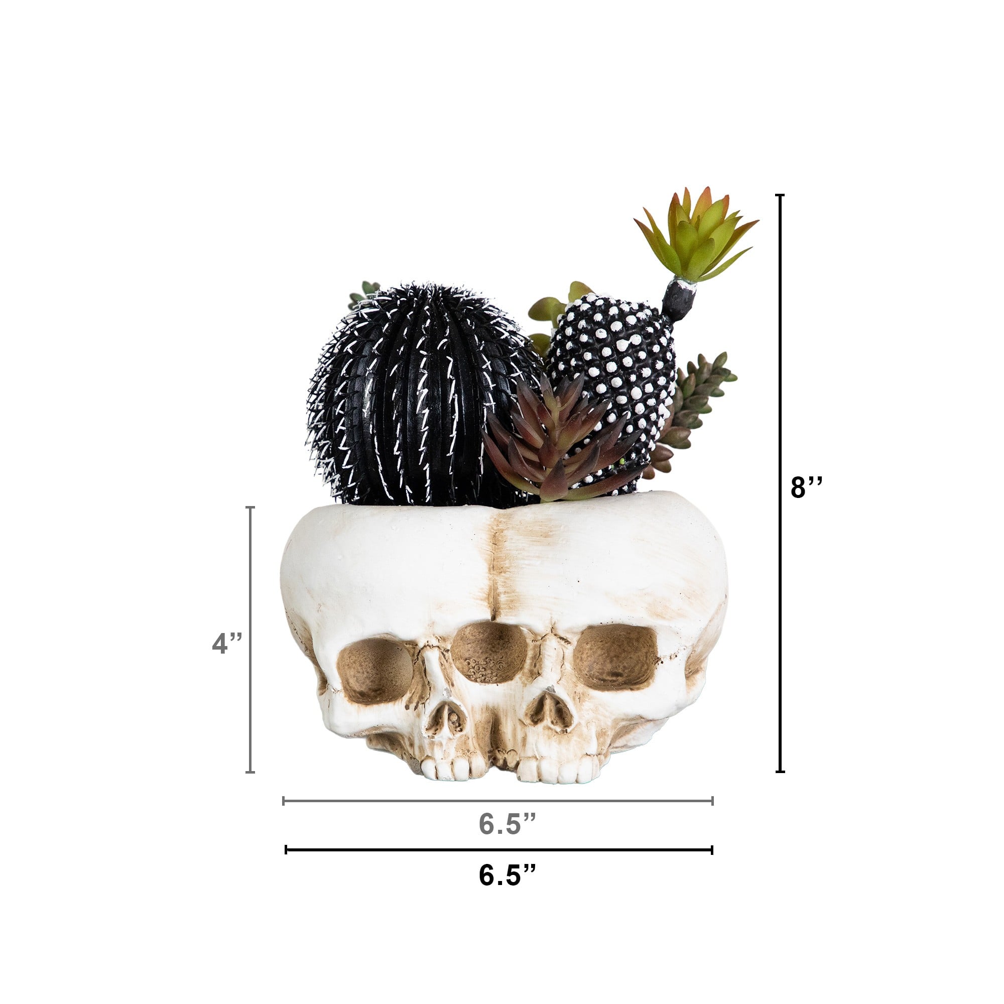 8" Artificial Halloween Succulent Garden in Double Skull Planter